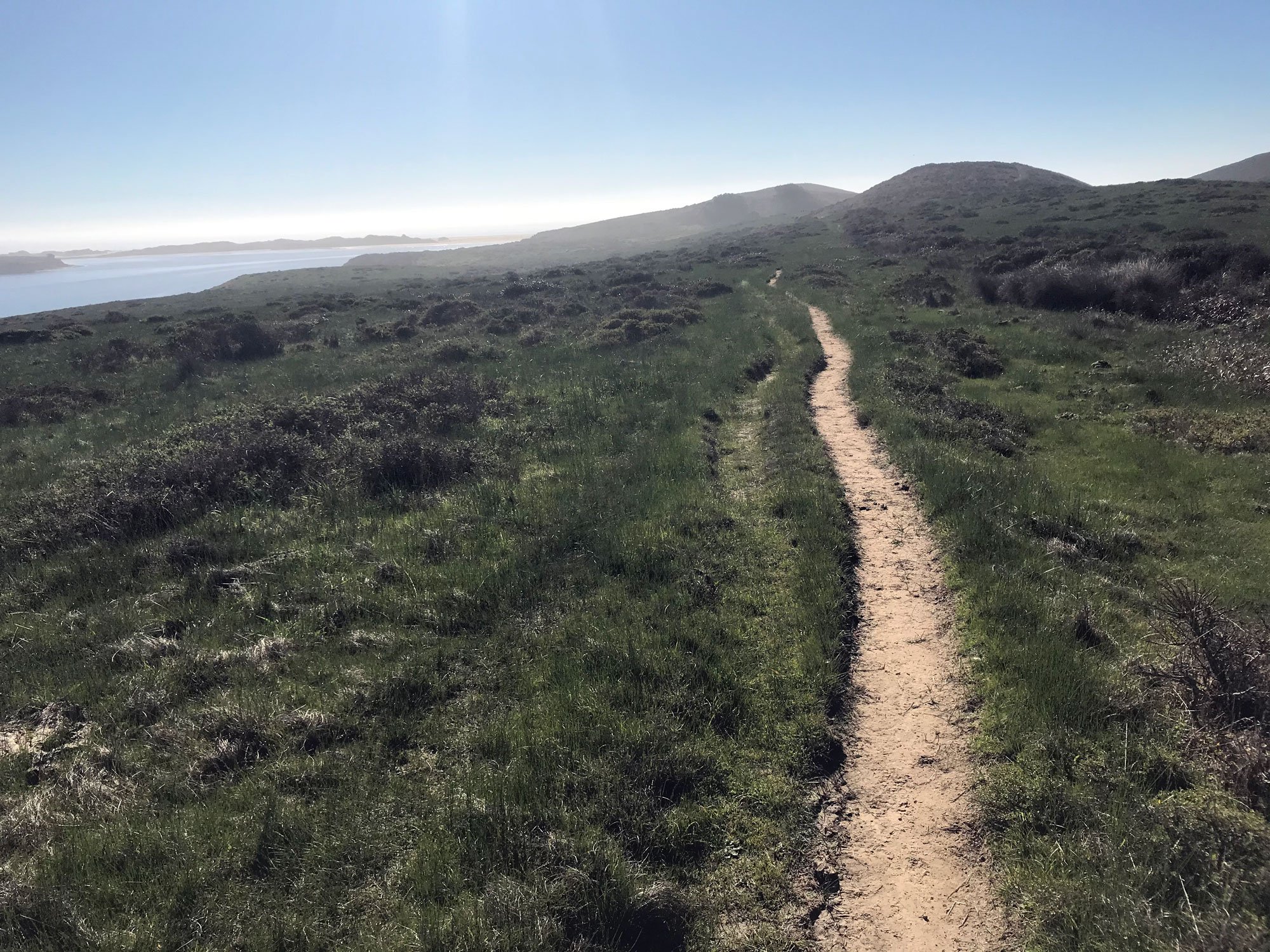 Drakes Head Trail: view to ocean