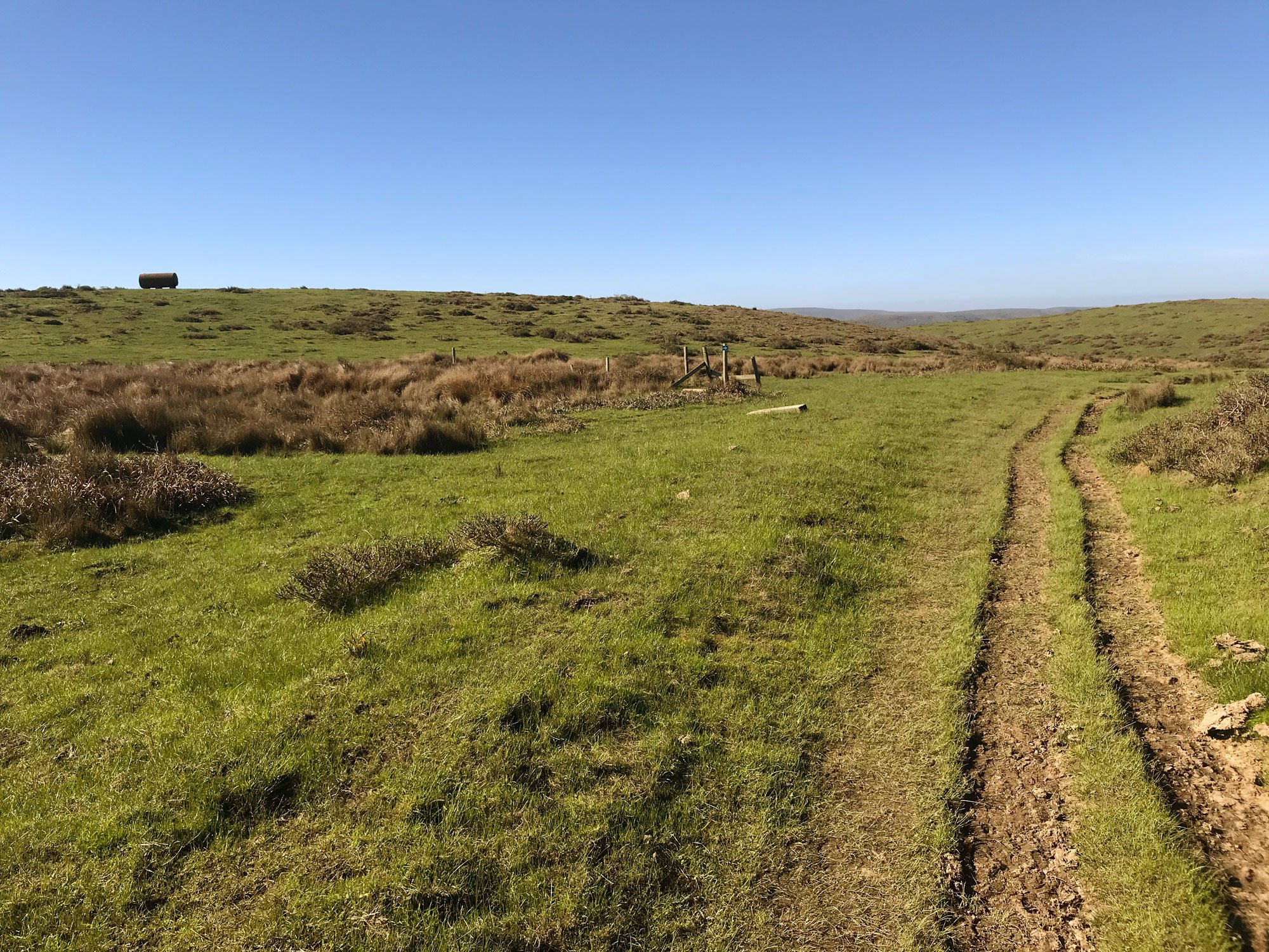 Estero Trail