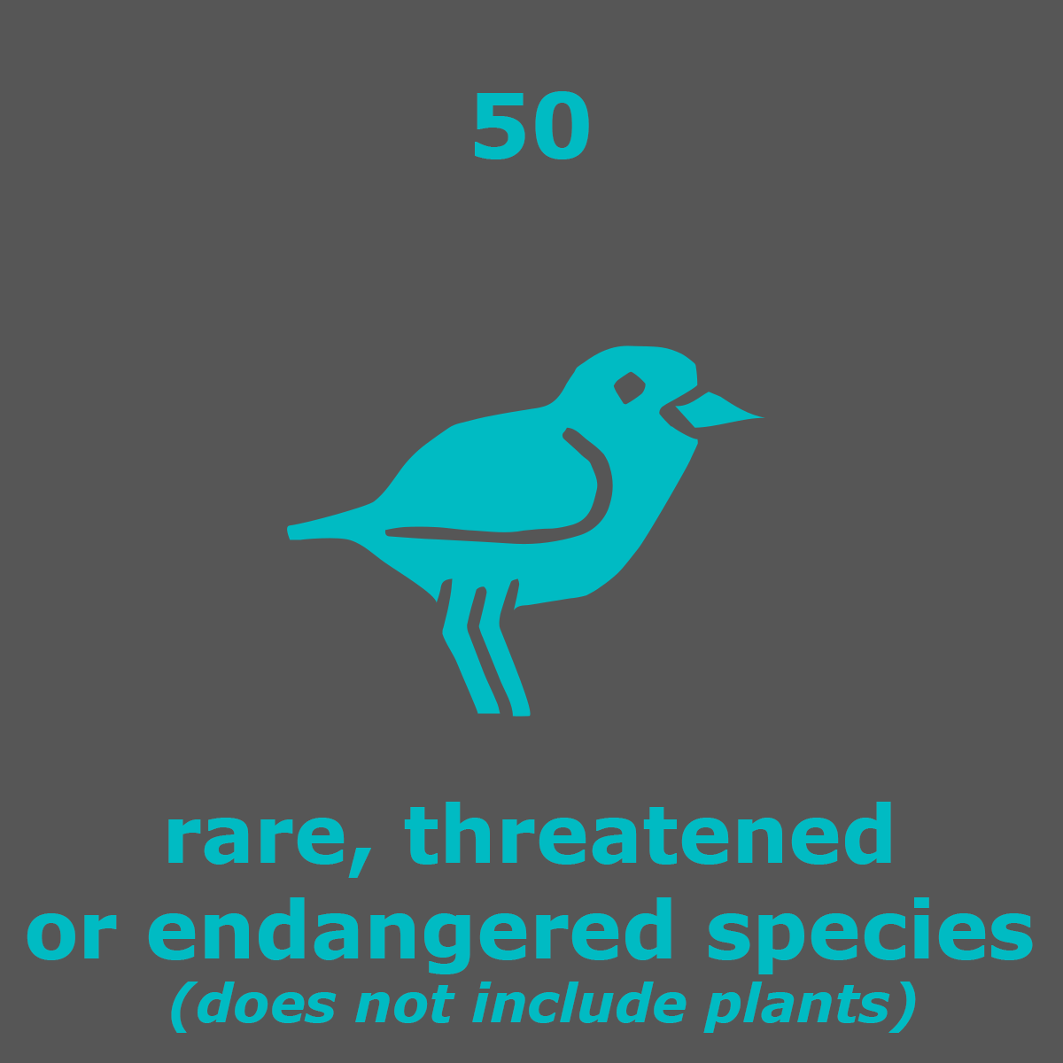 rarespecies_50_snowyplover_blue.gif