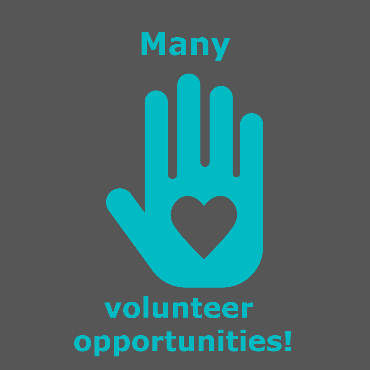 volunteer-opportunities_blue.gif