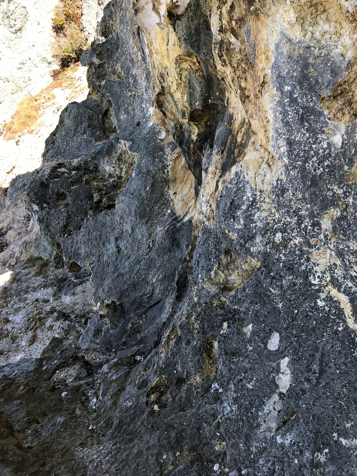 coast-trail-rocks_IMG_9050_lichen.jpg