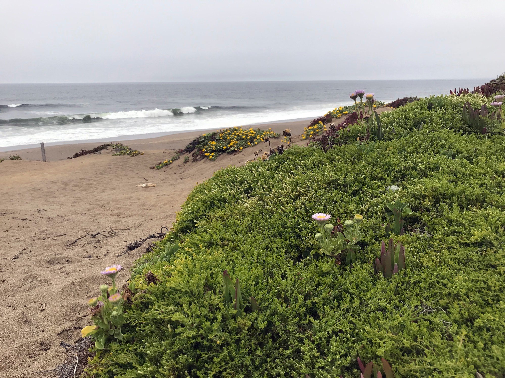 northbeach_IMG_1384_aug2021.jpg