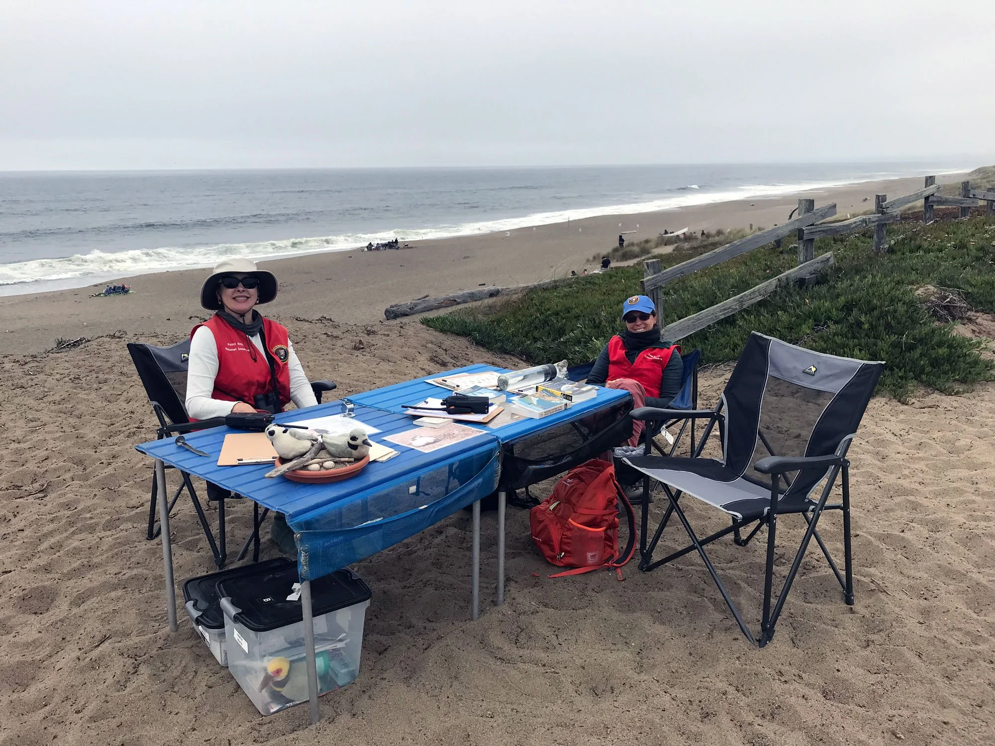 Snowy Plover volunteer docents
