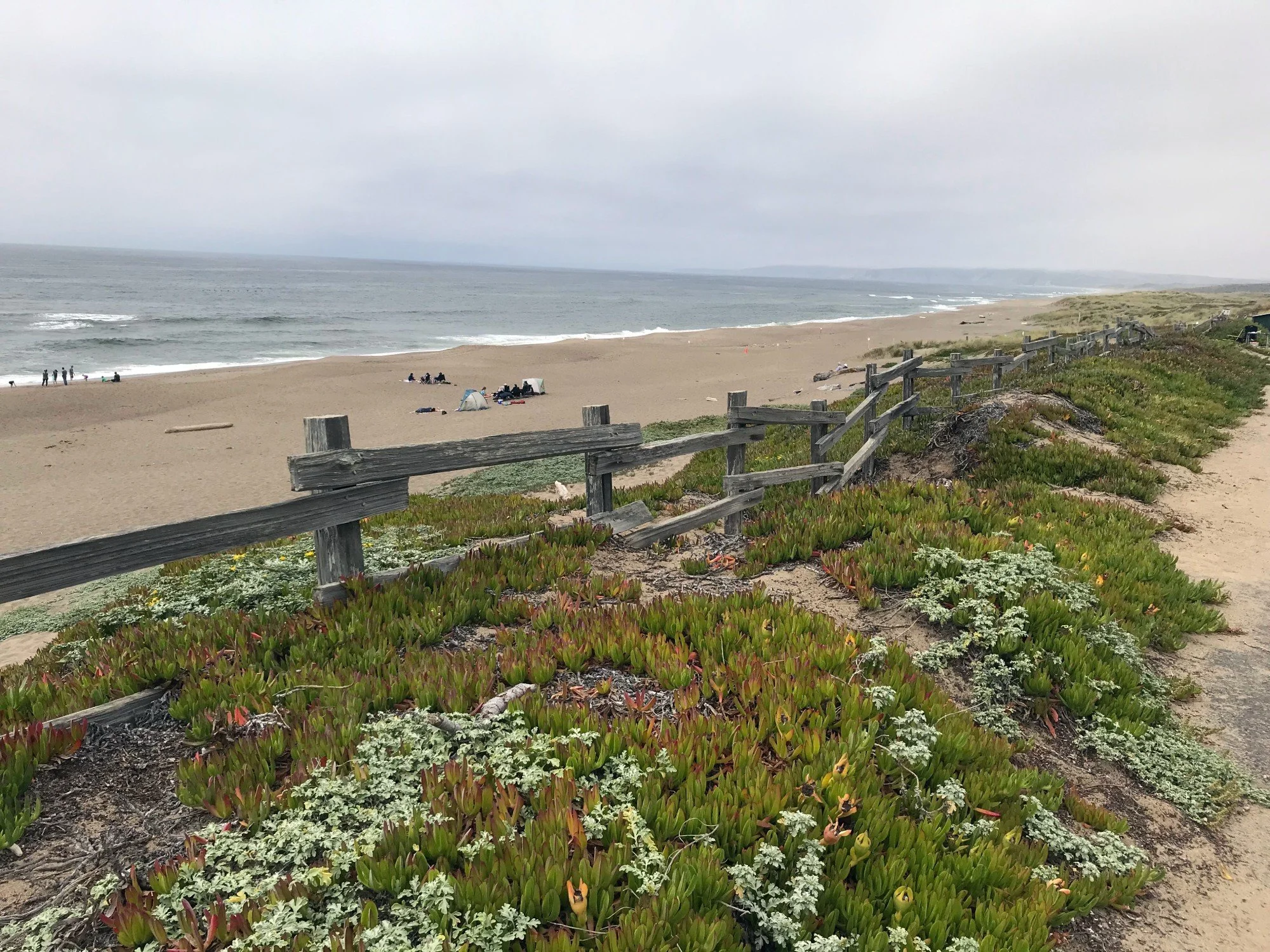 northbeach_IMG_8777_jul2022.jpg