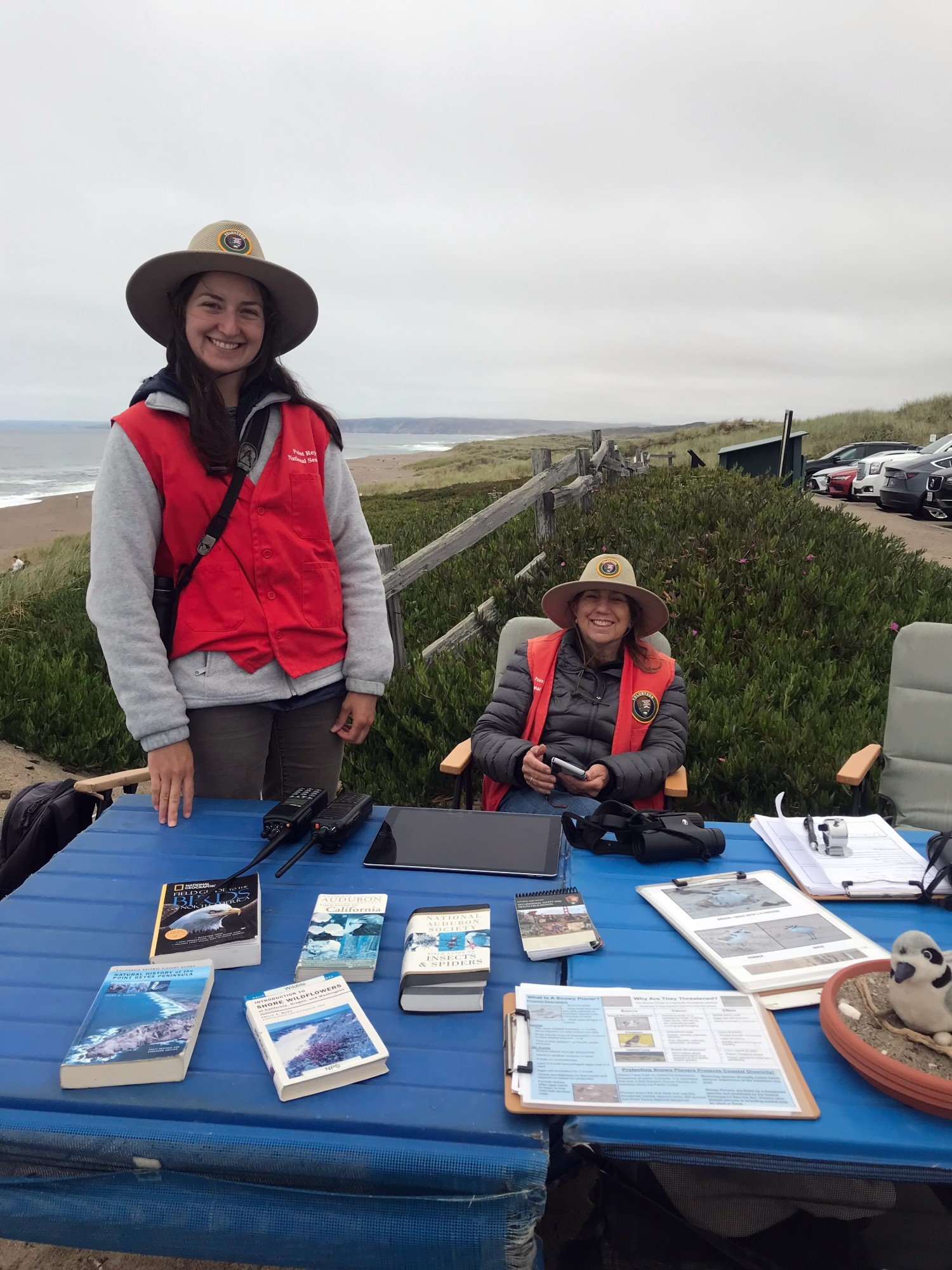 Snowy Plover volunteer docents