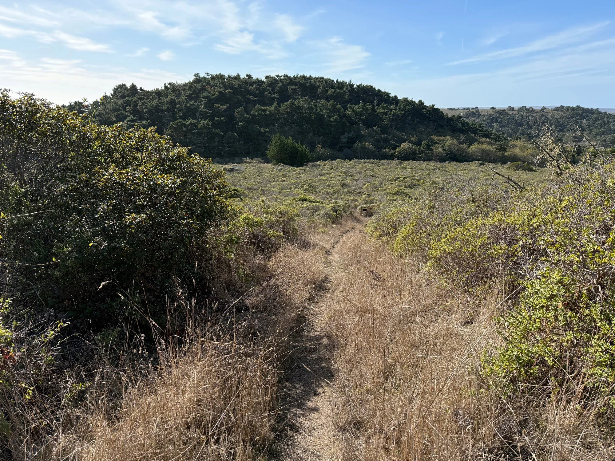Bucklin: intersection with Muddy Hollow