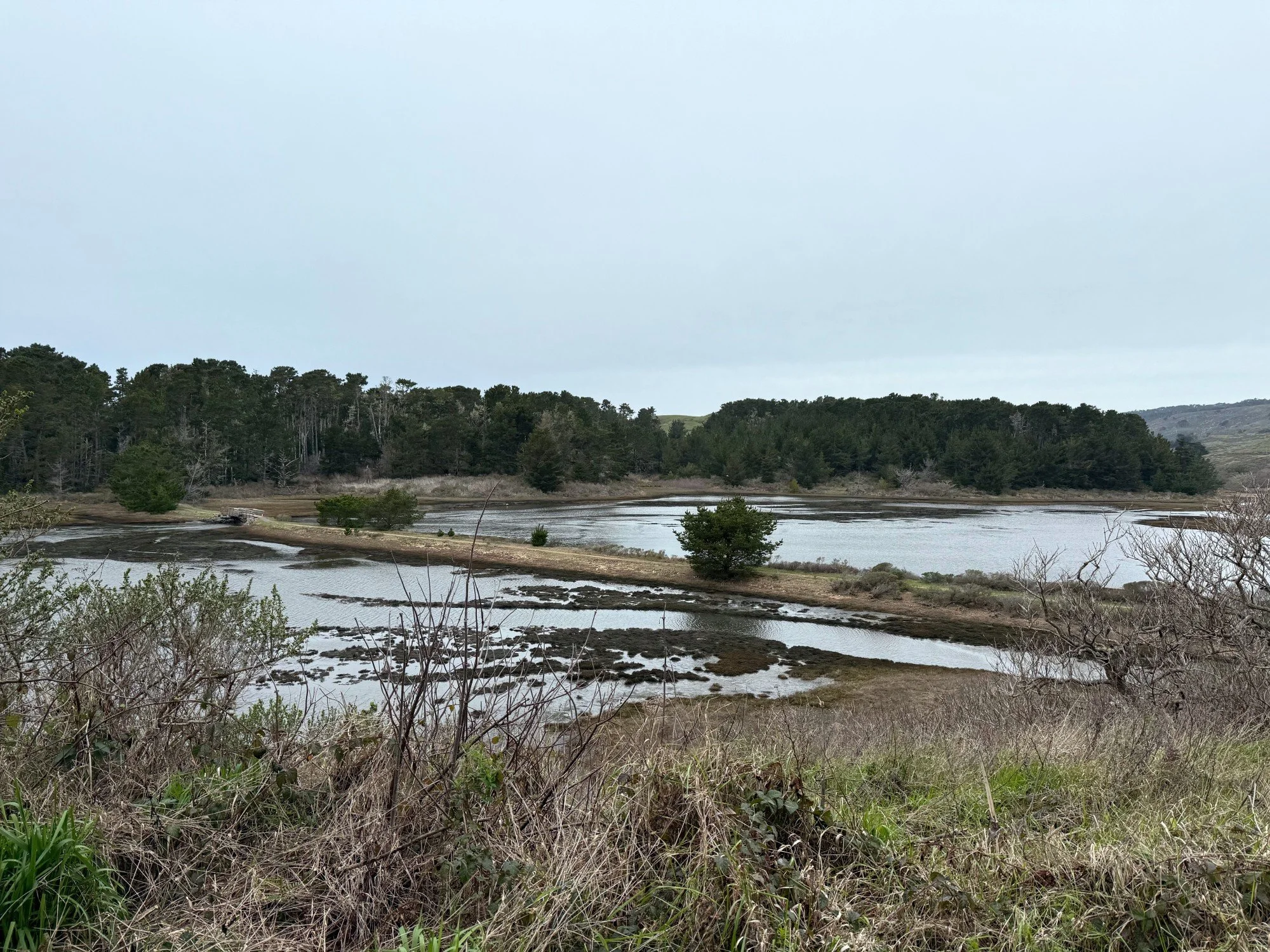Estero trail land bridge, Feb 2025