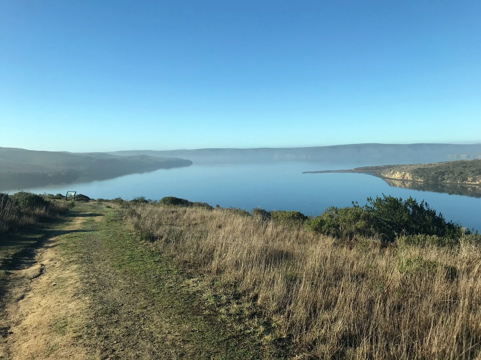 Drakes Estero, Jan 2021