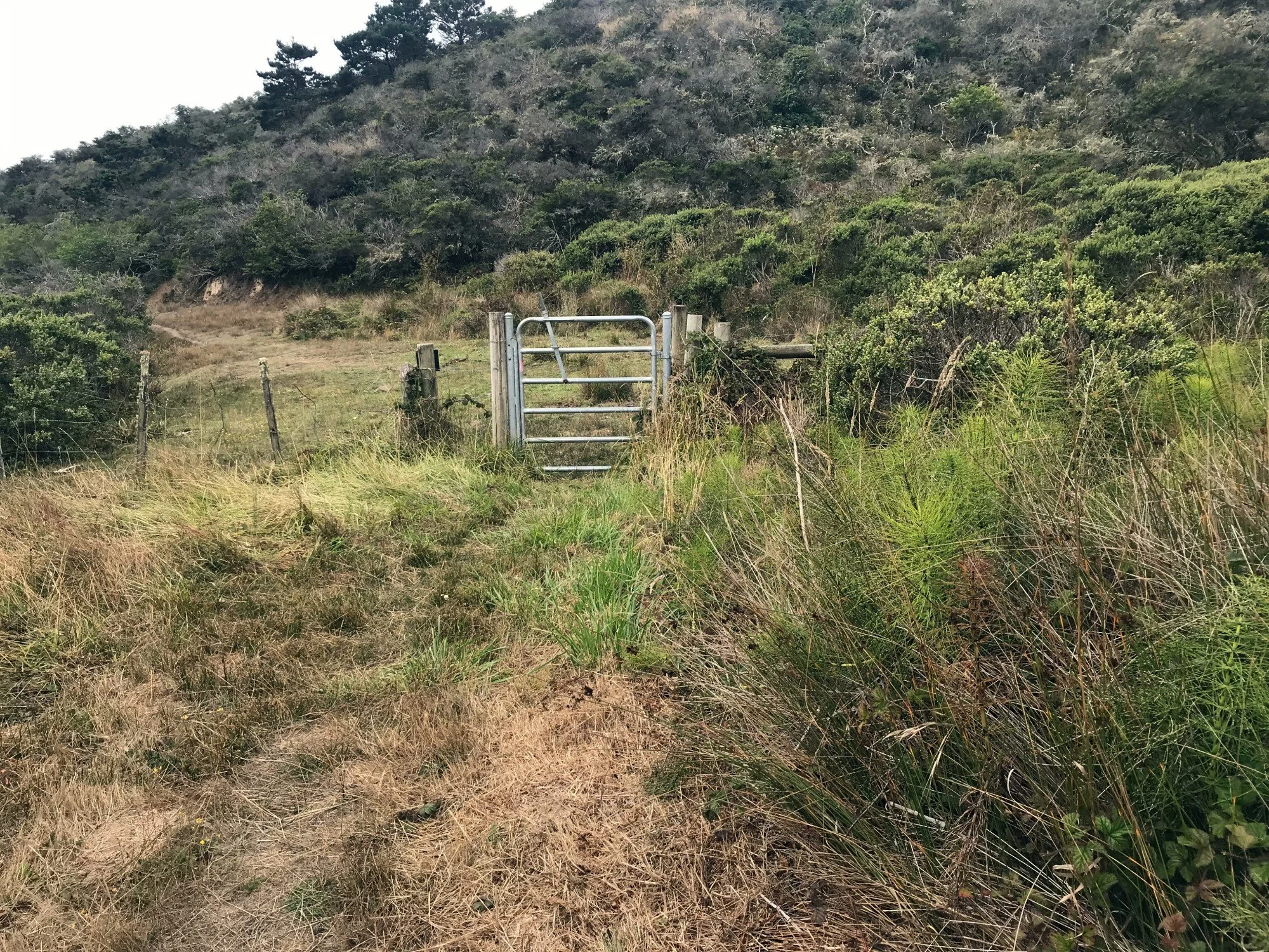 White Gate, Aug 2021