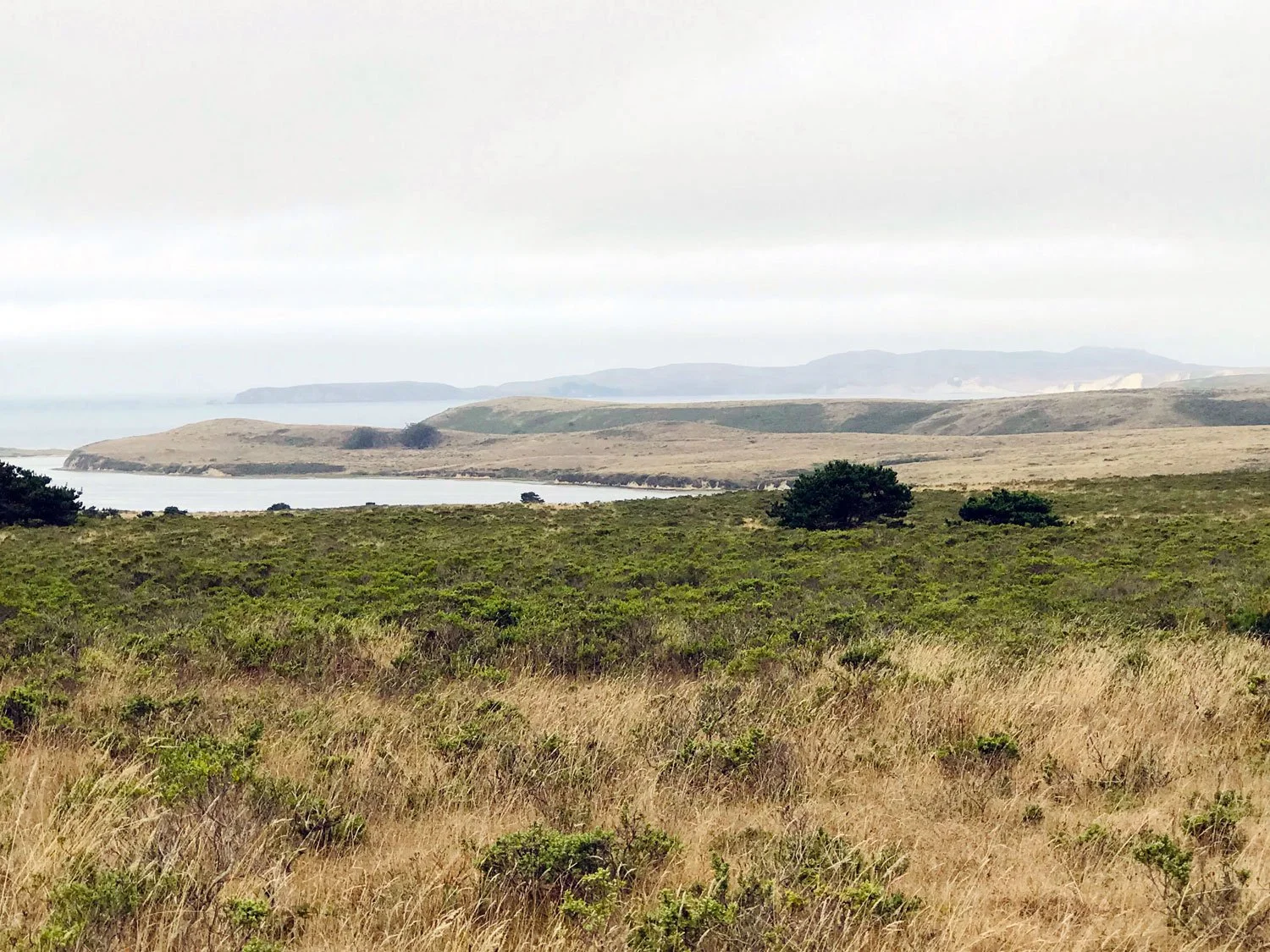 Glenbrook, Aug 2019