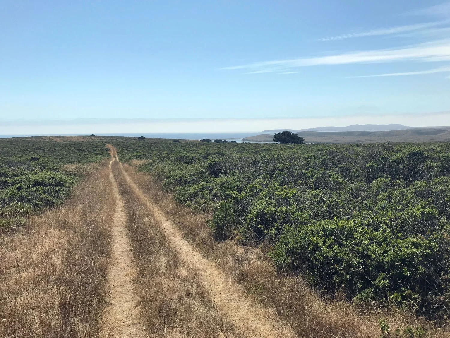 Glenbrook, July 2018
