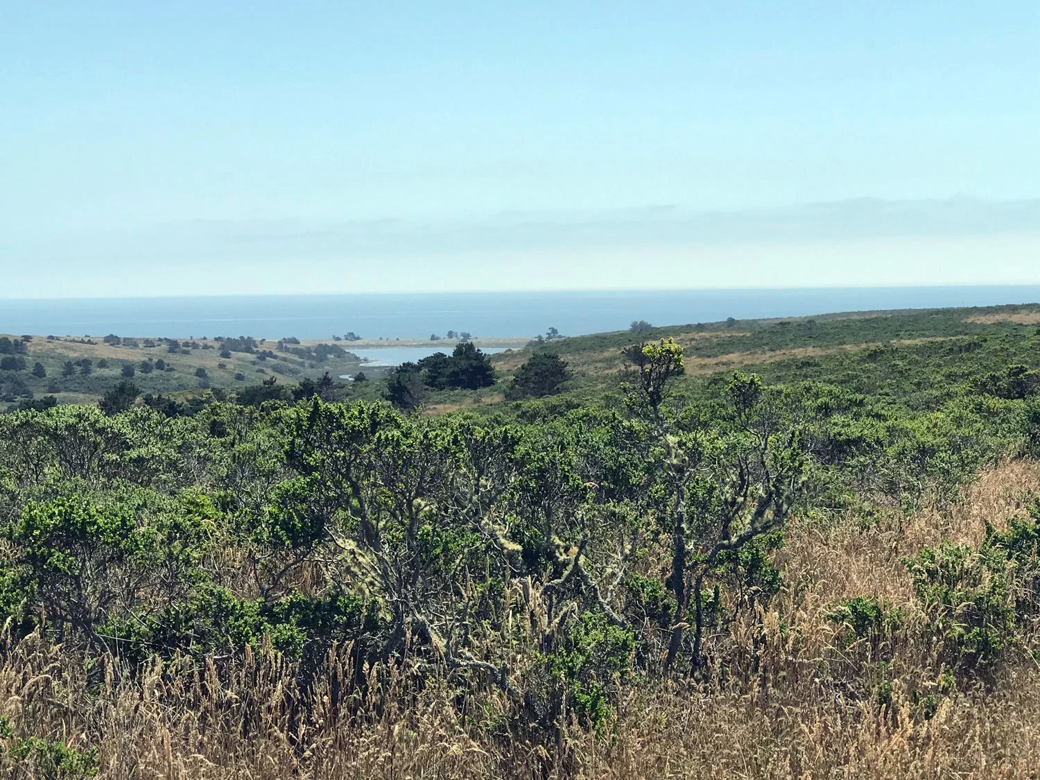 Glenbrook, July 2018