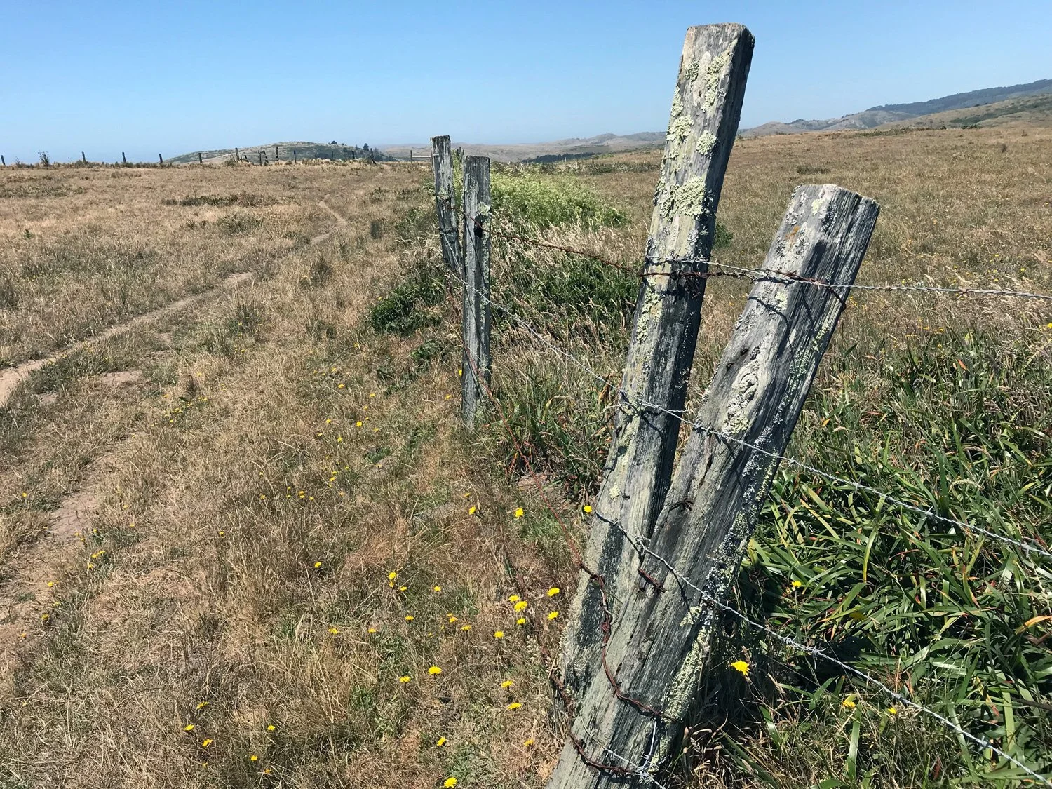 Estero between split and White Gate, Jun 2018