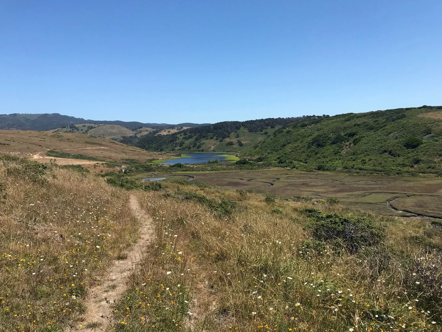Estero between split and White Gate, Jun 2018