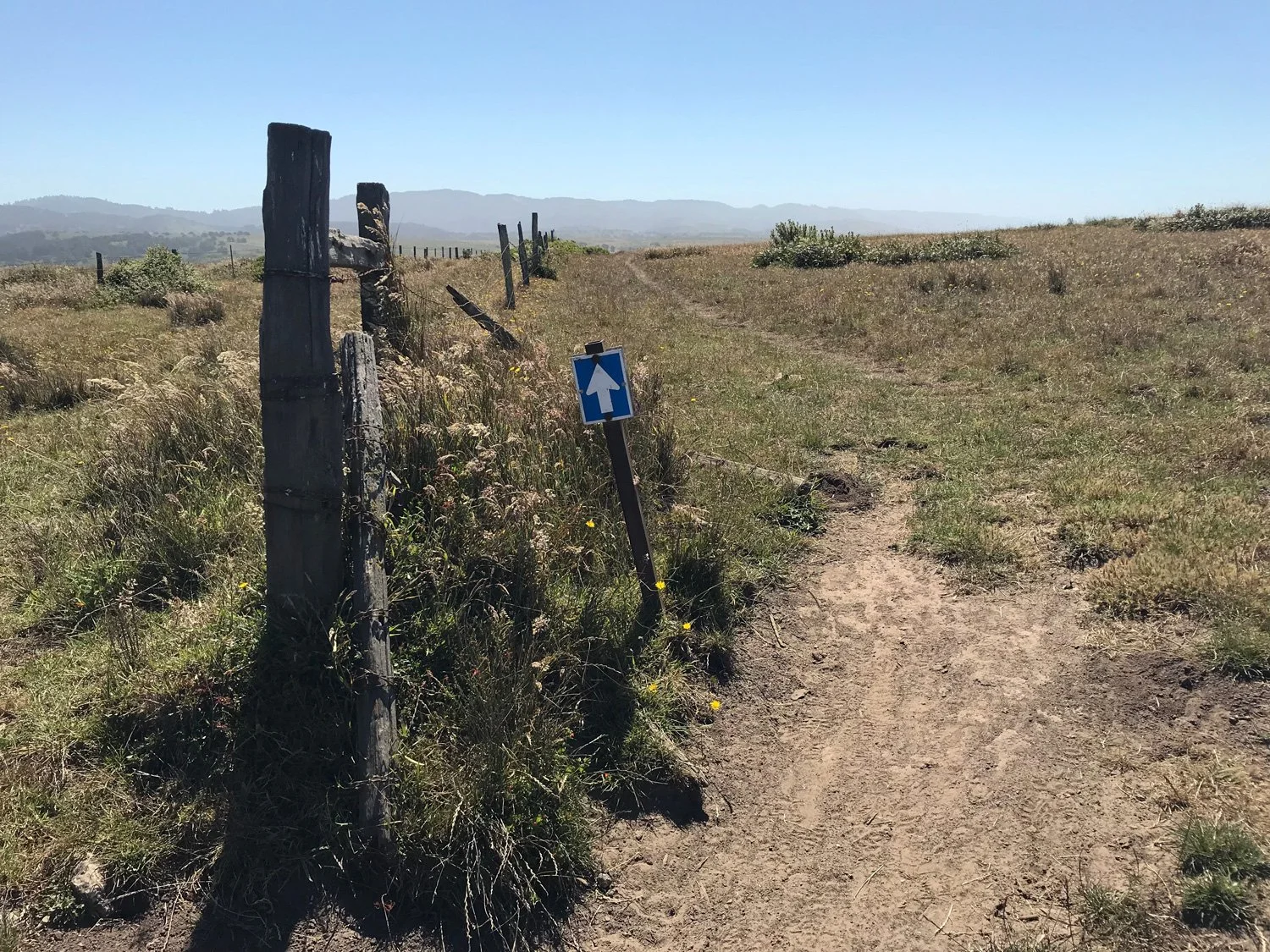 Follow the blue arrow markers to White Gate, Jun 2018