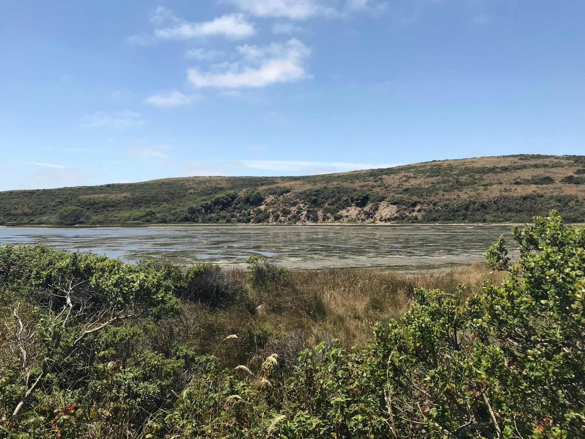 Estero Trail overlooking Limantour Estero, Jul 2018
