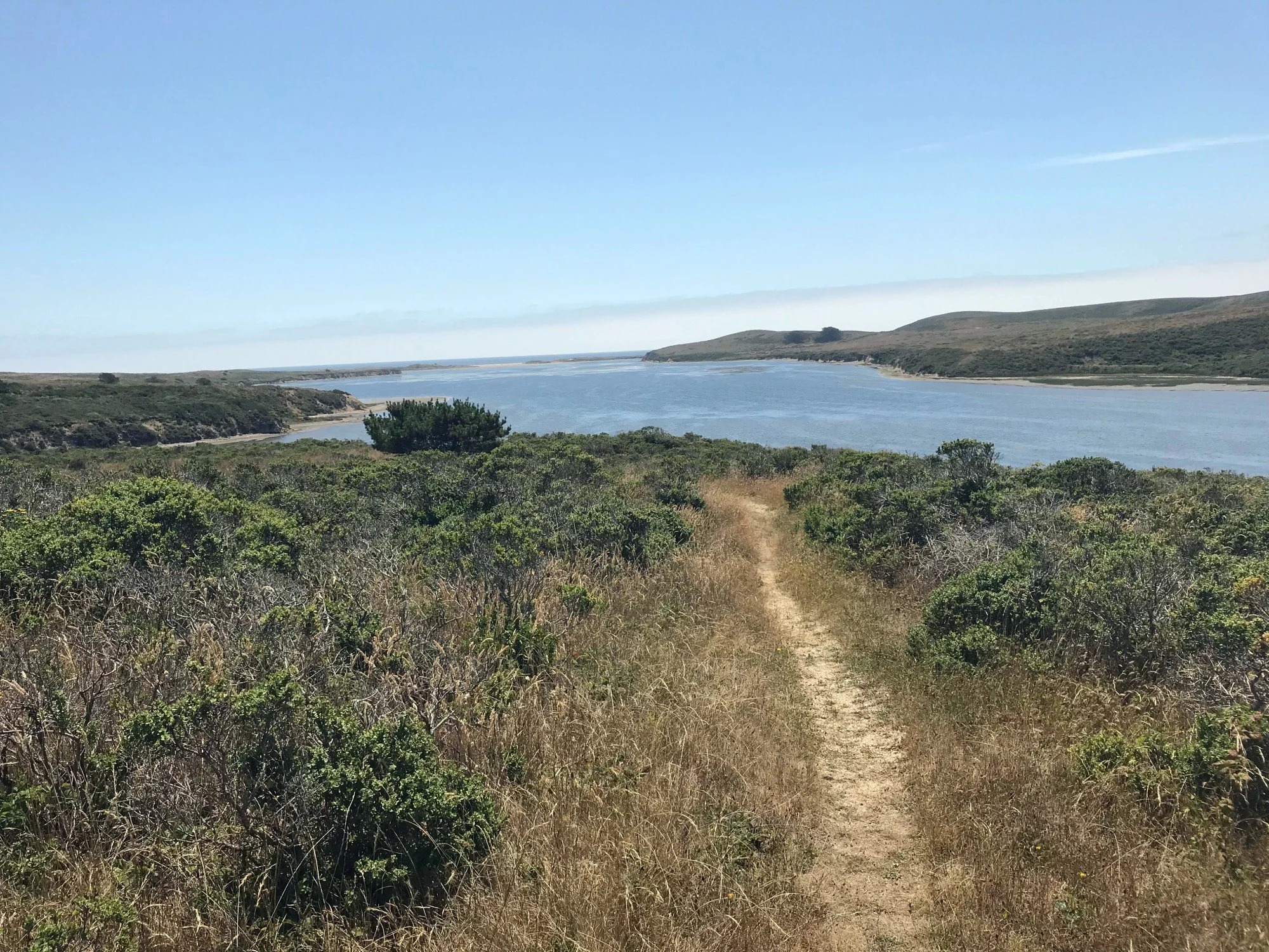 Estero Trail overlooking Limantour Estero, Jul 2018