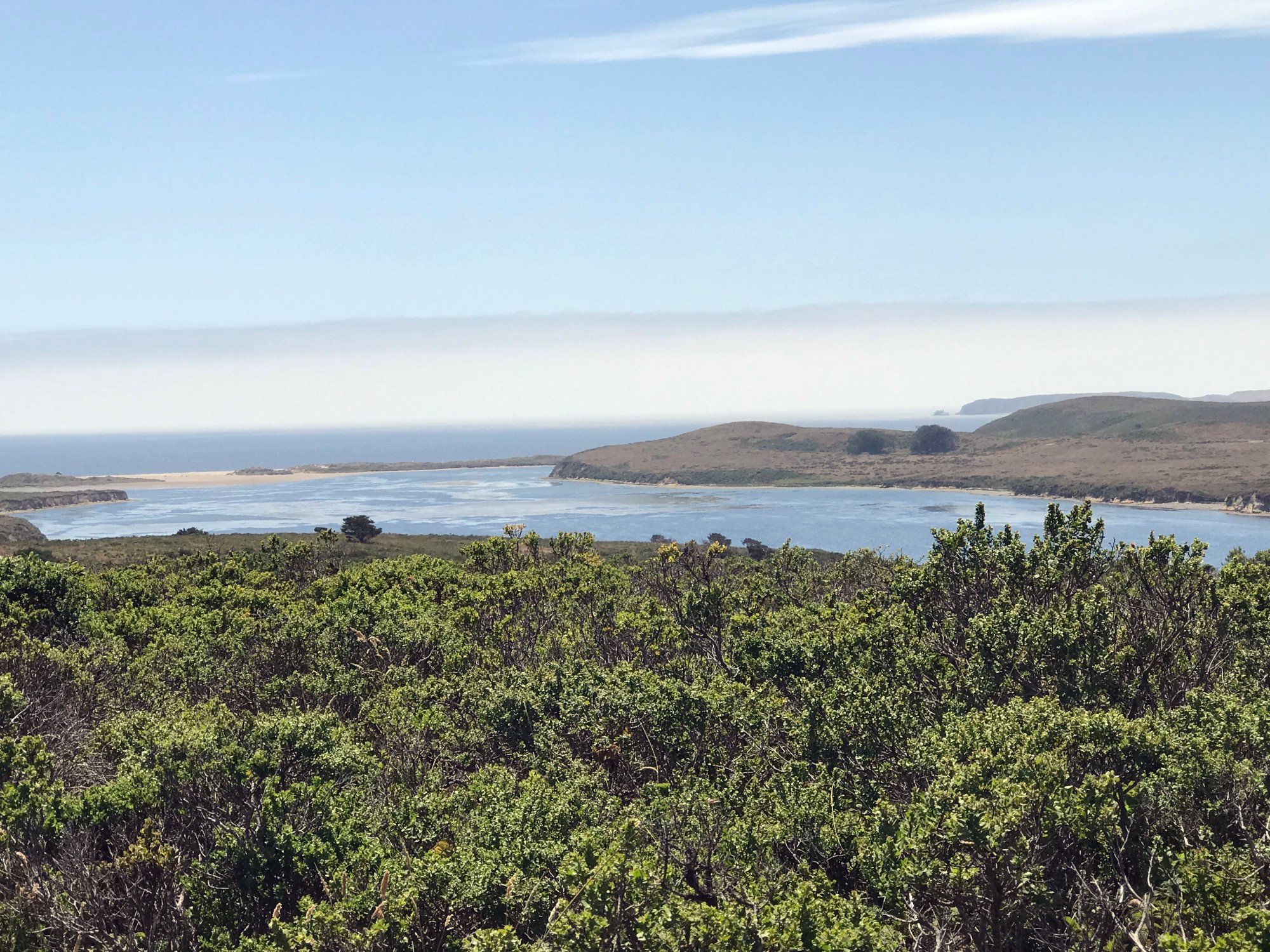 Estero Trail overlooking Limantour Estero, Jul 2018