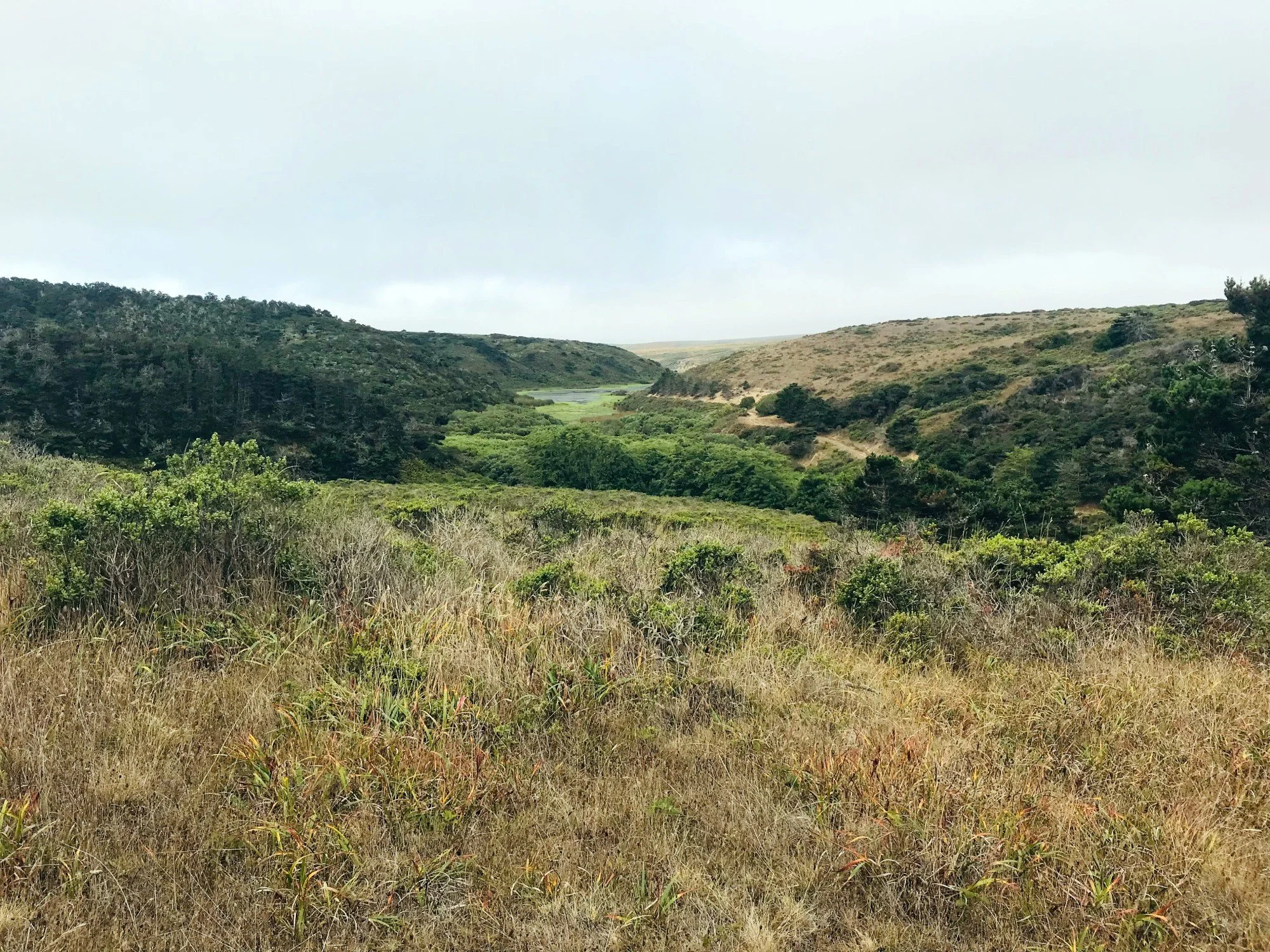 Muddy Hollow Rd overlooking White Gate, Aug 2021