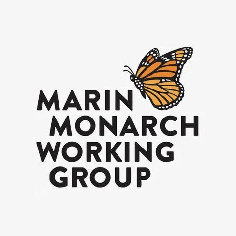 Garden Clean Up &amp; Planting Party with Marin Monarch Working Group