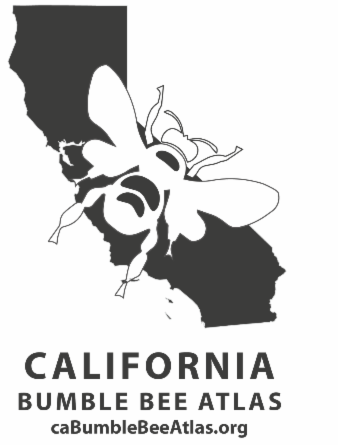 California Bumble Bee Atlas training workshops