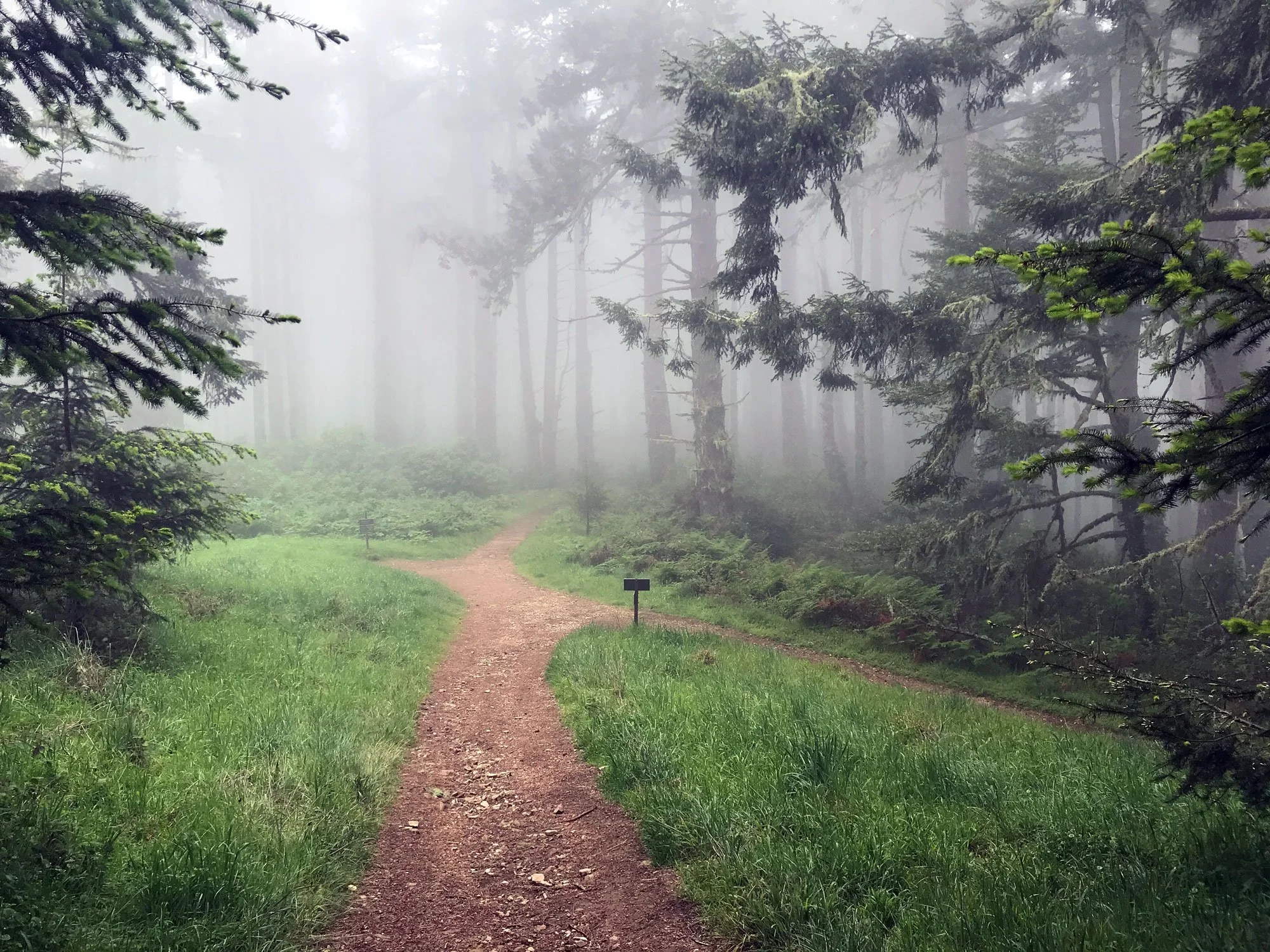 Mt Wittenberg, April 2020