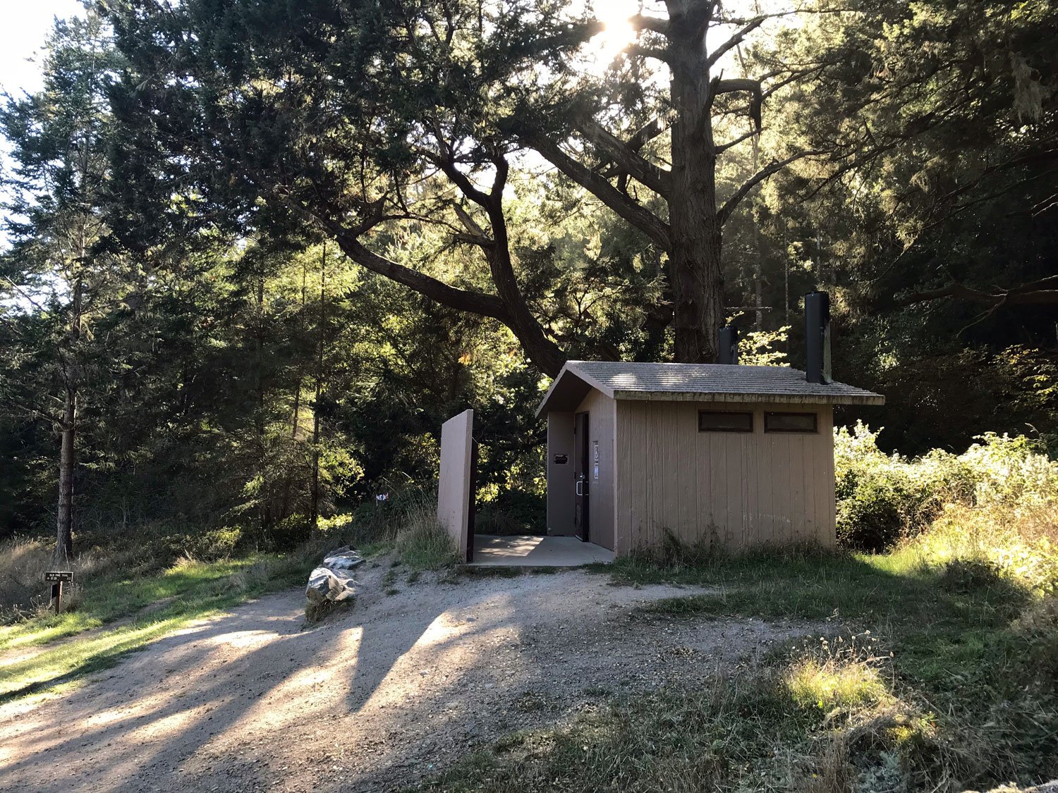 Old Pine, Nov 2018, toilet at Divide Meadow