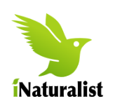 Bioblitz - City Nature Challenge 2026