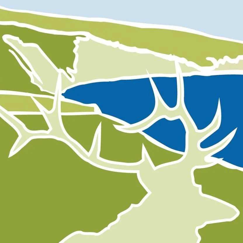 Take the Trails Survey