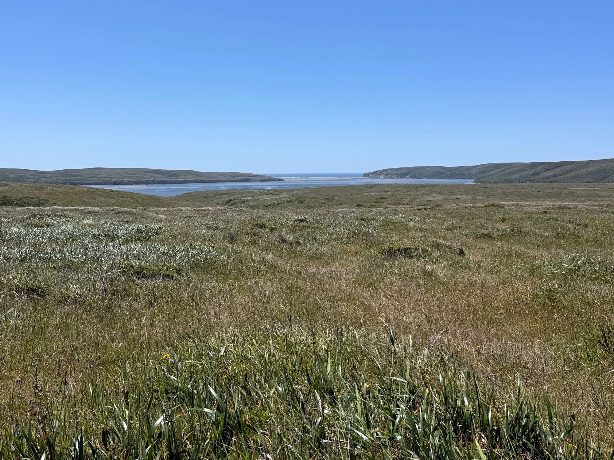 View to Drakes Estero
