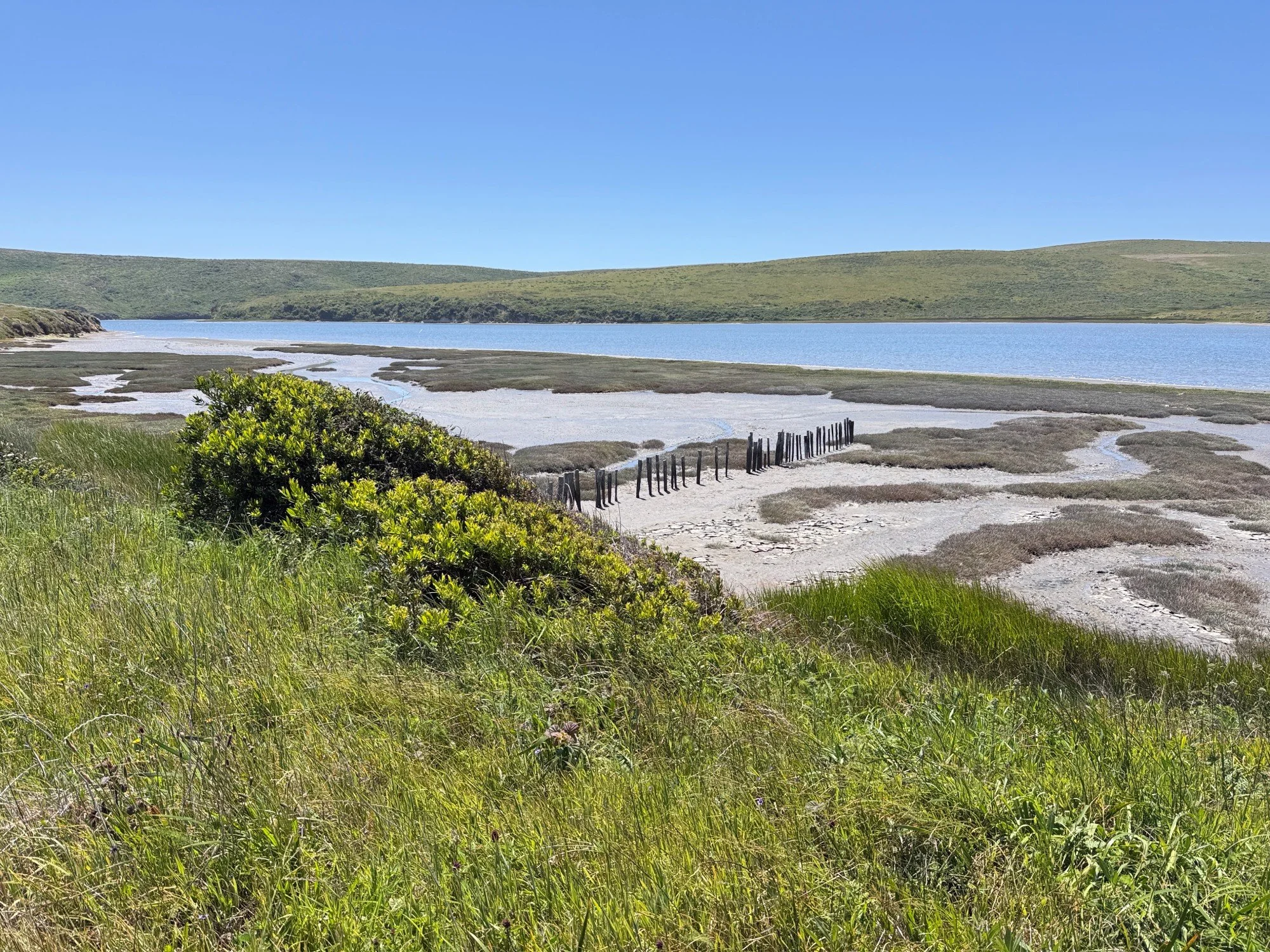 Creamery Bay