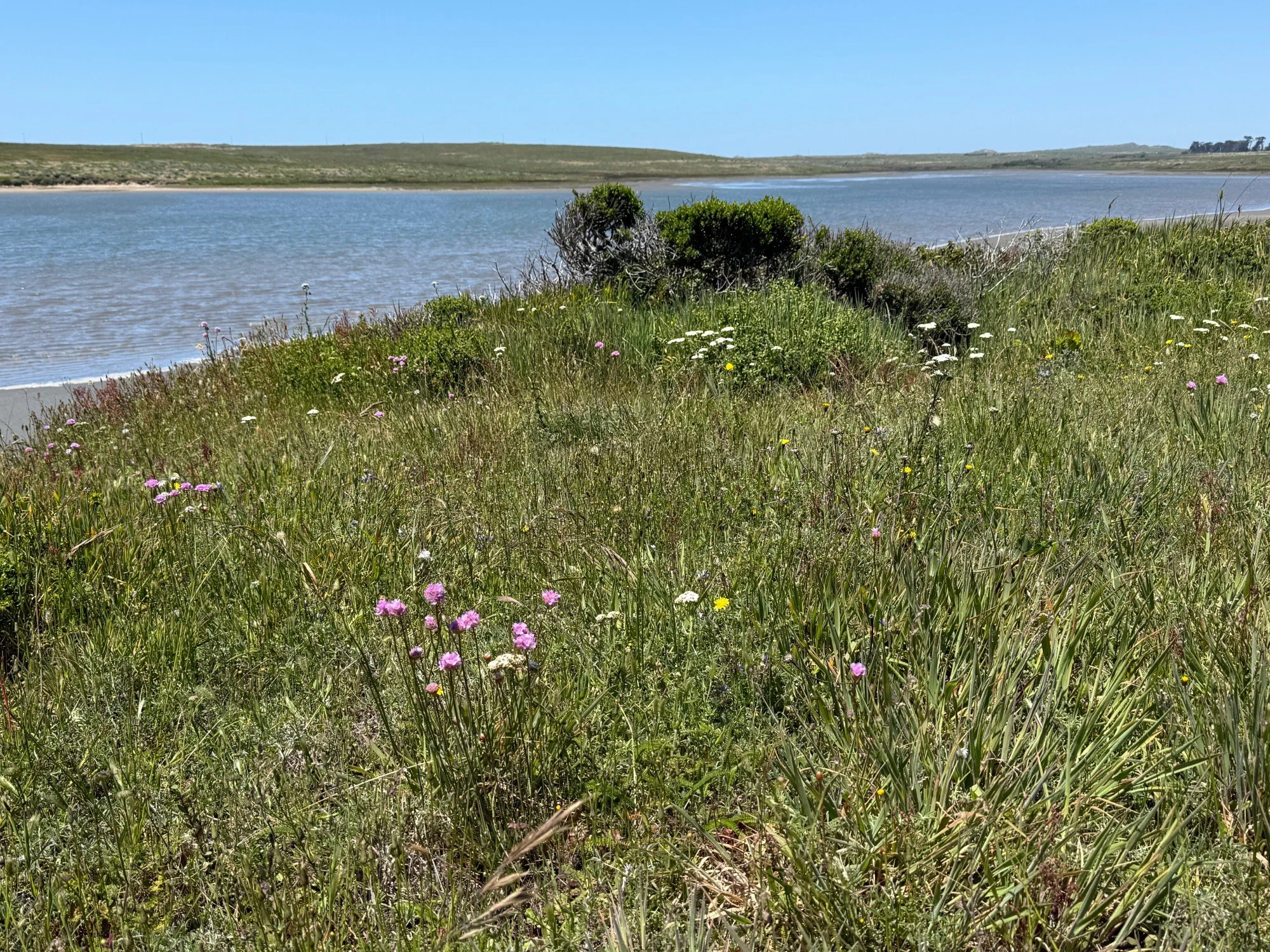 Creamery Bay