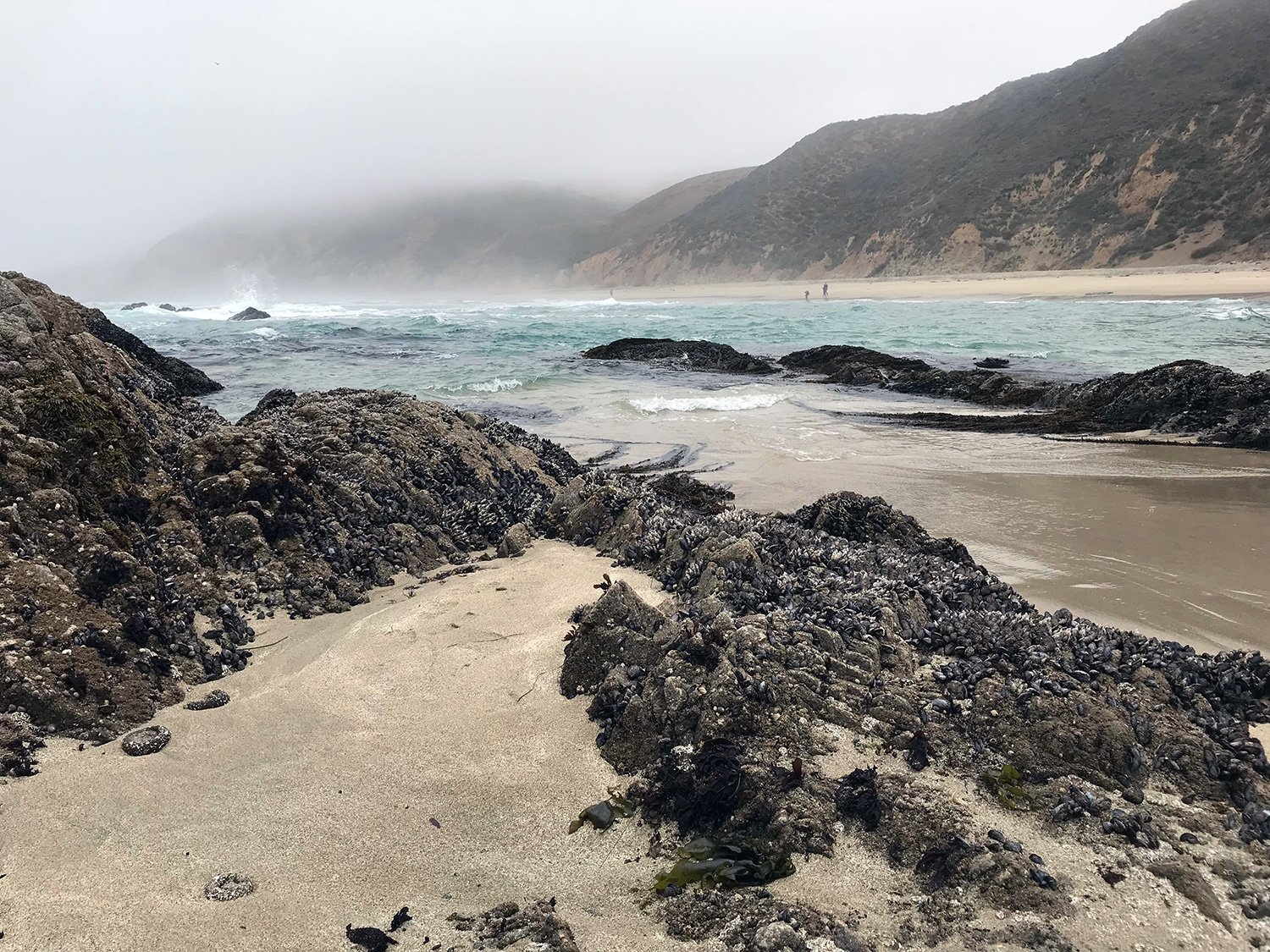 McClures Beach