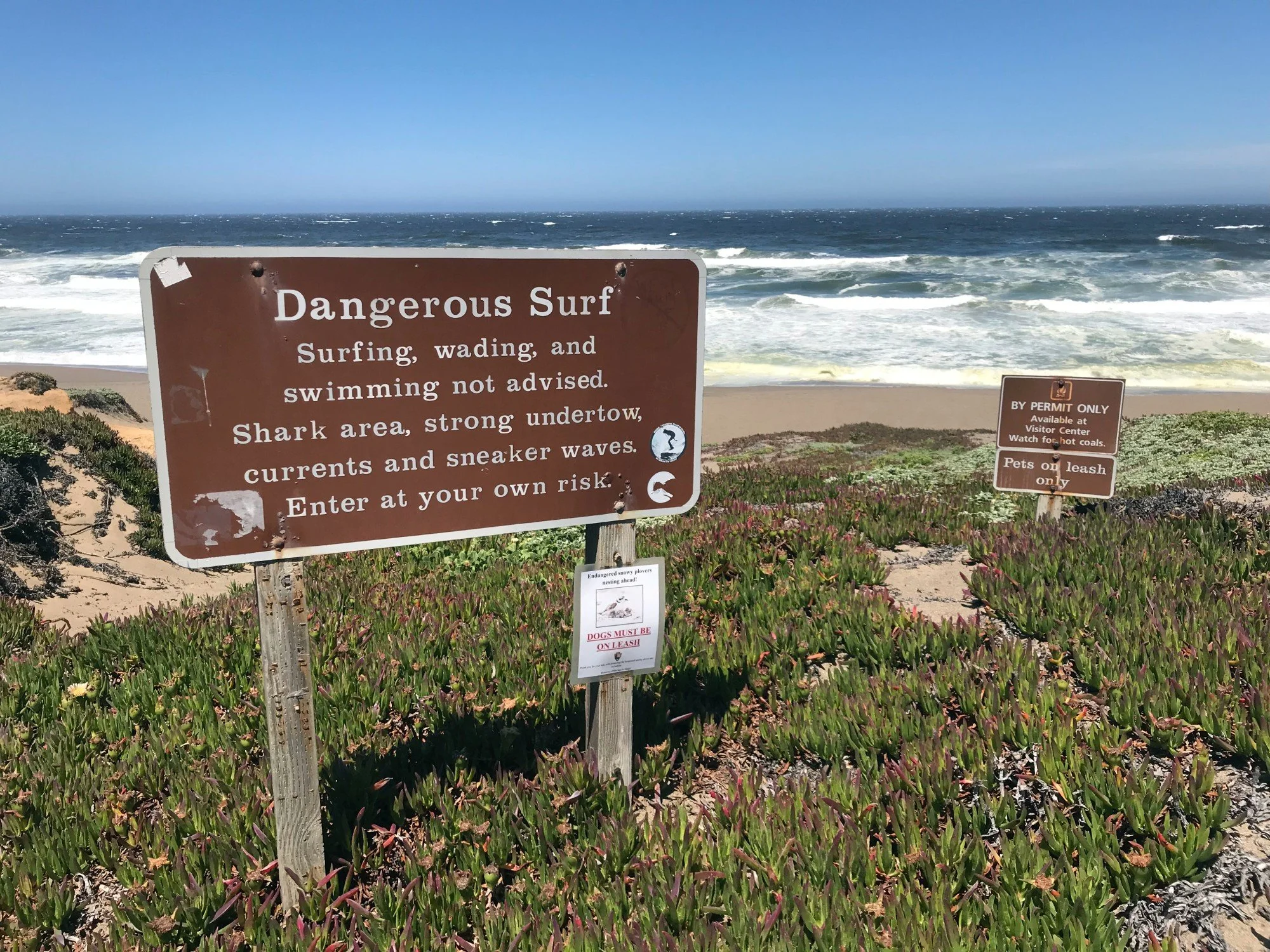 Point Reyes Beach North