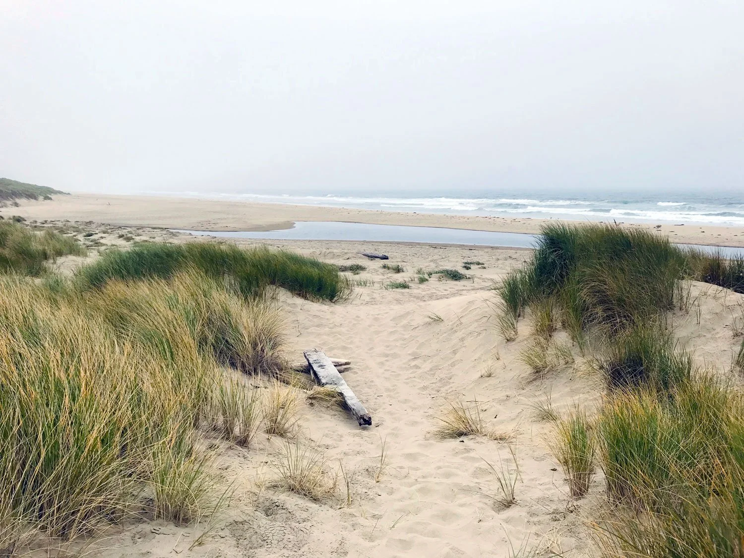 Kehoe Beach dunes - view to the ocean