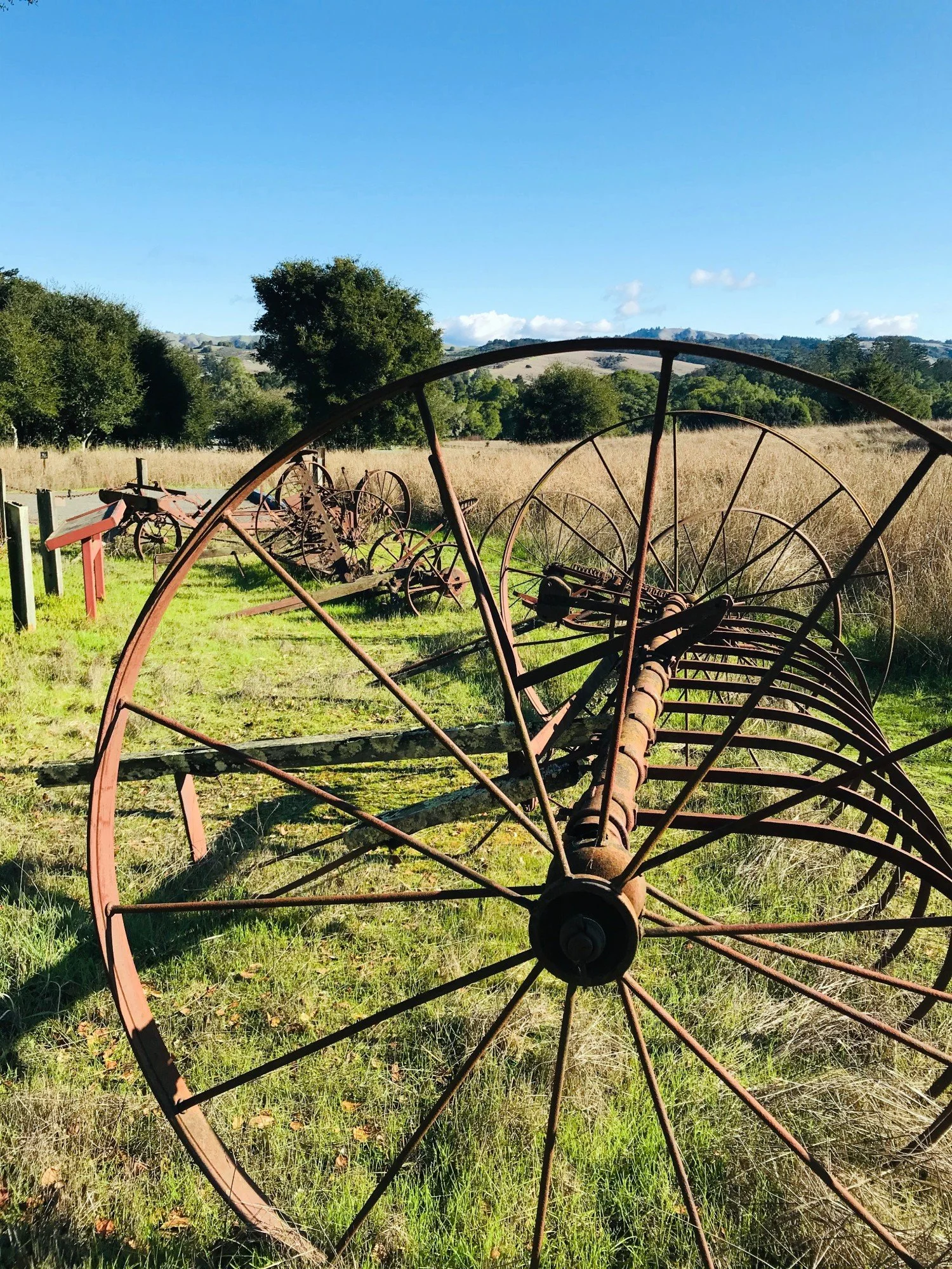 morgan-horse-ranch_IMG_4104_dec2019.jpg