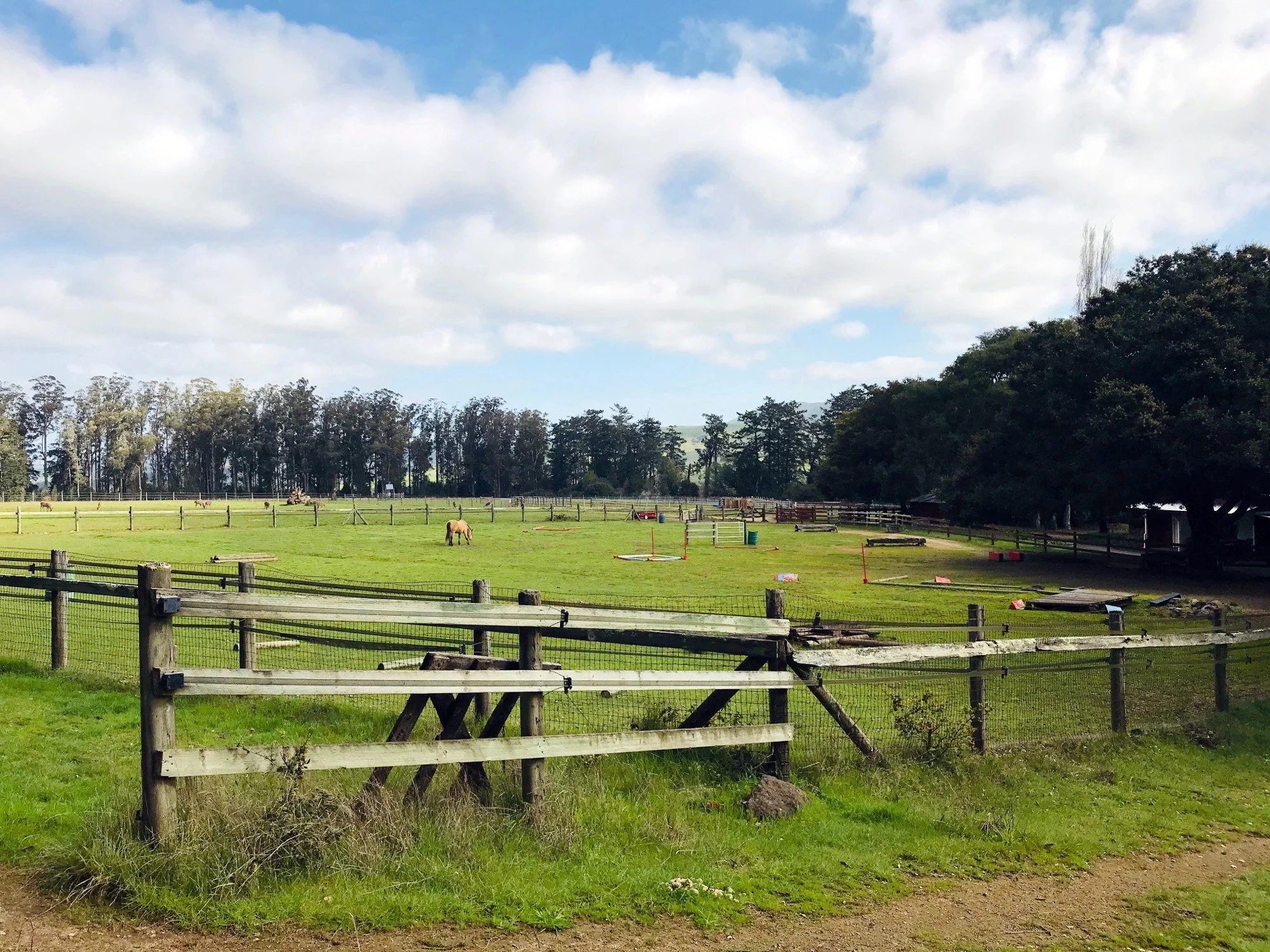 morgan-horse-ranch_IMG_7310_mar2020.jpg