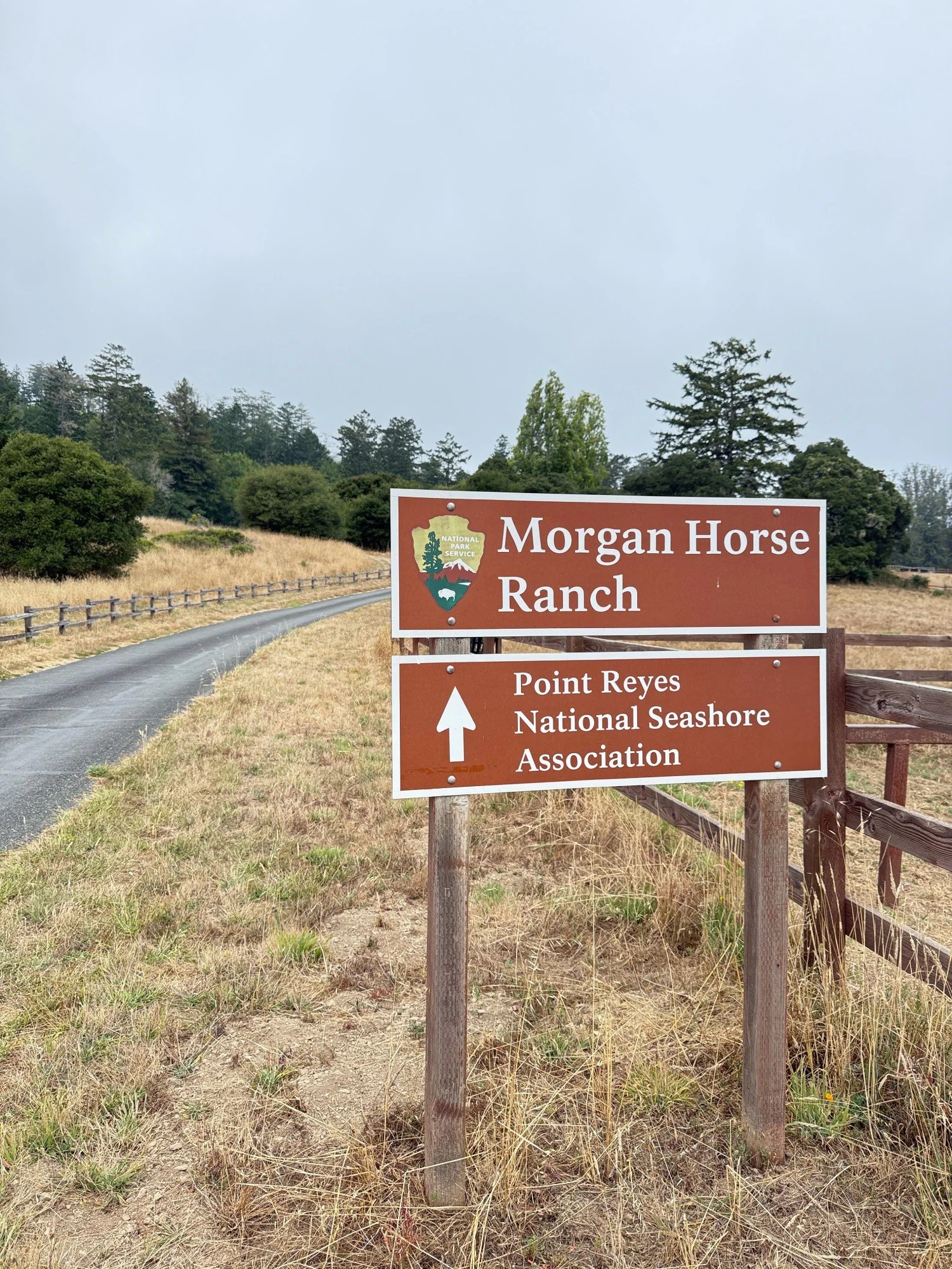 driveway path to Morgan Horse Ranch
