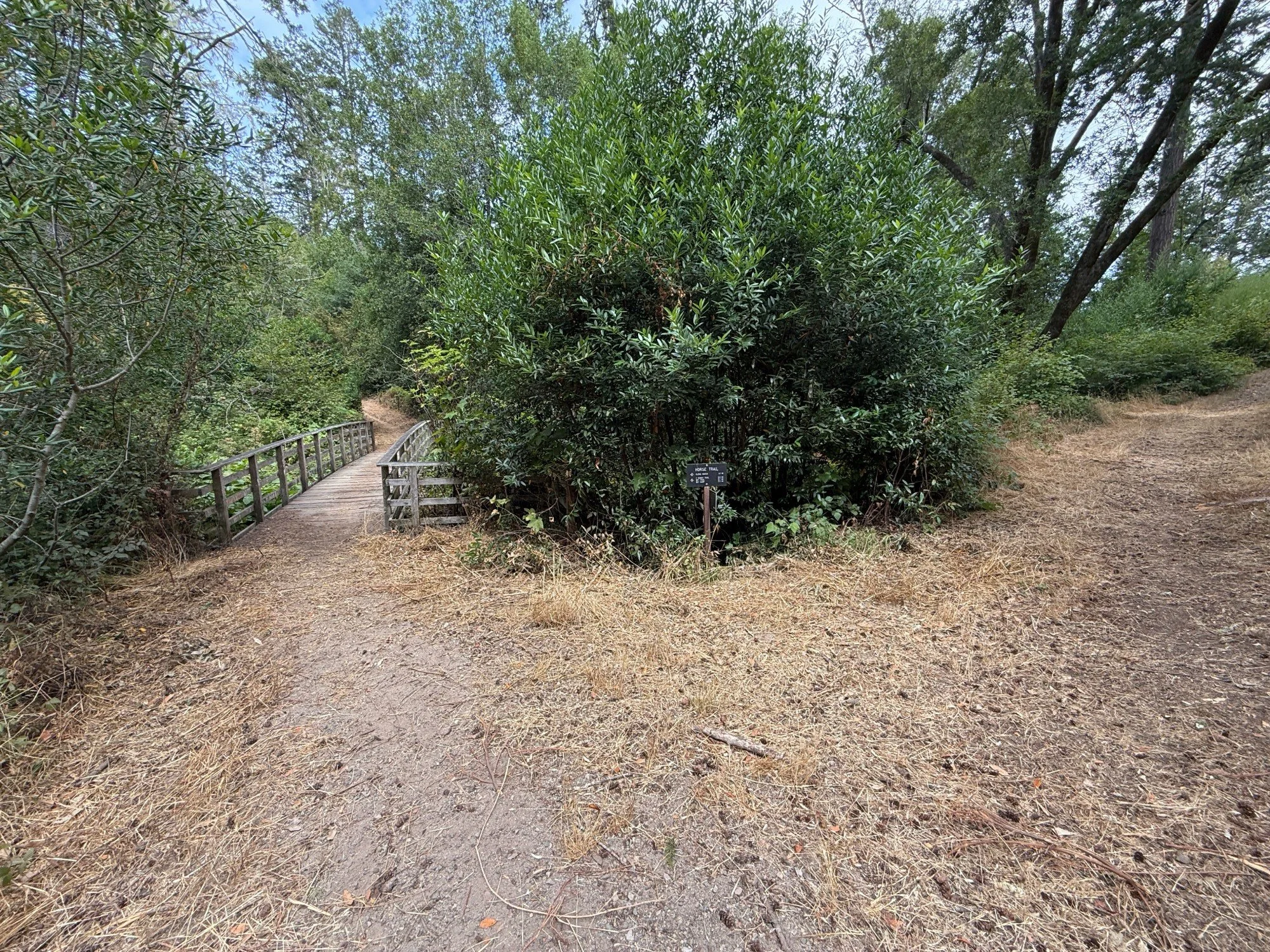 bridge to Horse Trail