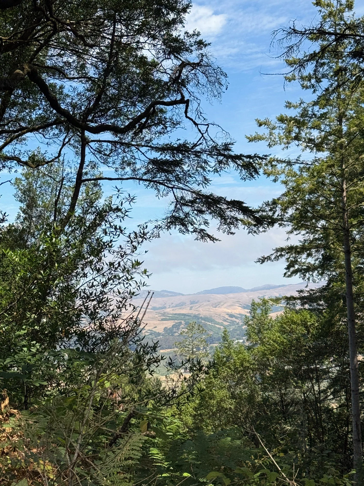 views from Horse Trail