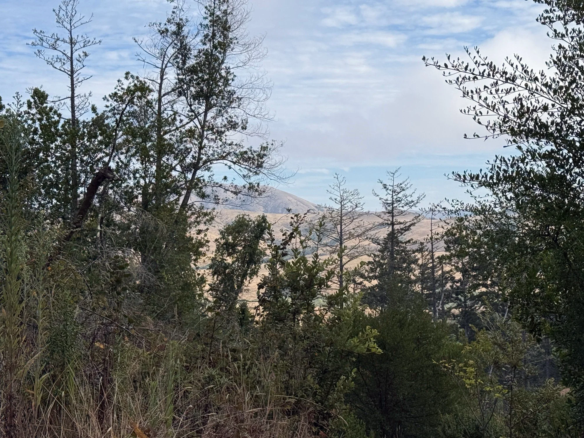 views to the distant hills