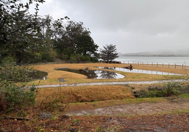 Volunteer with Chicken Ranch Beach Wetland Enhancement Project
