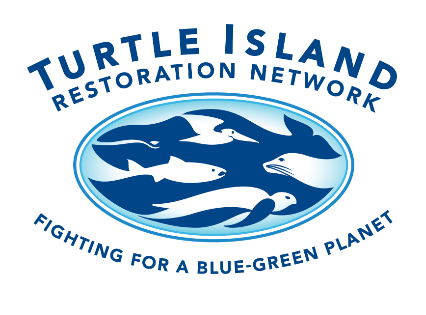 (Webinar)  Native and Invasive Plants at Point Reyes