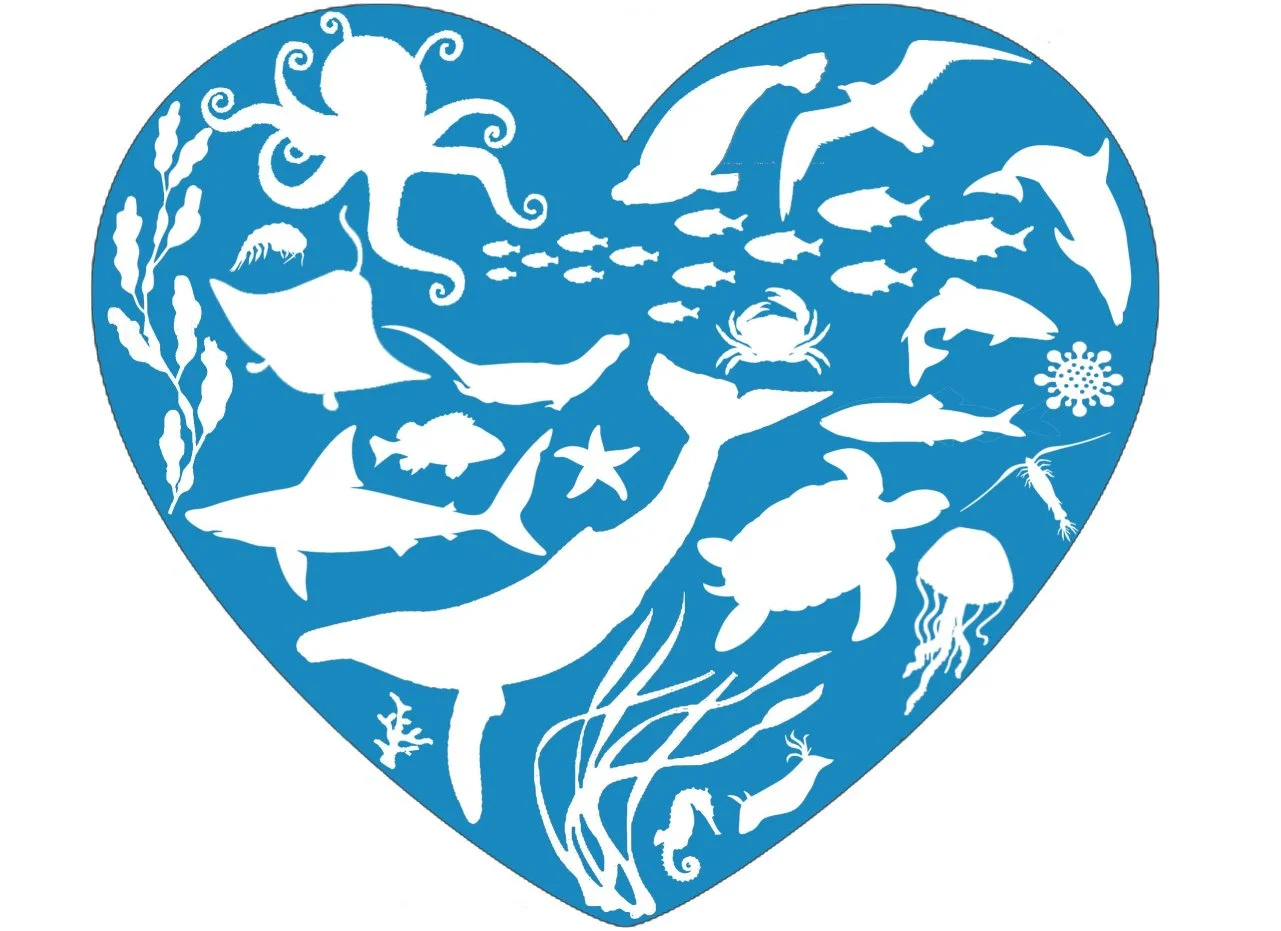 Blue heart with sea creatures, kelp, and shore birds