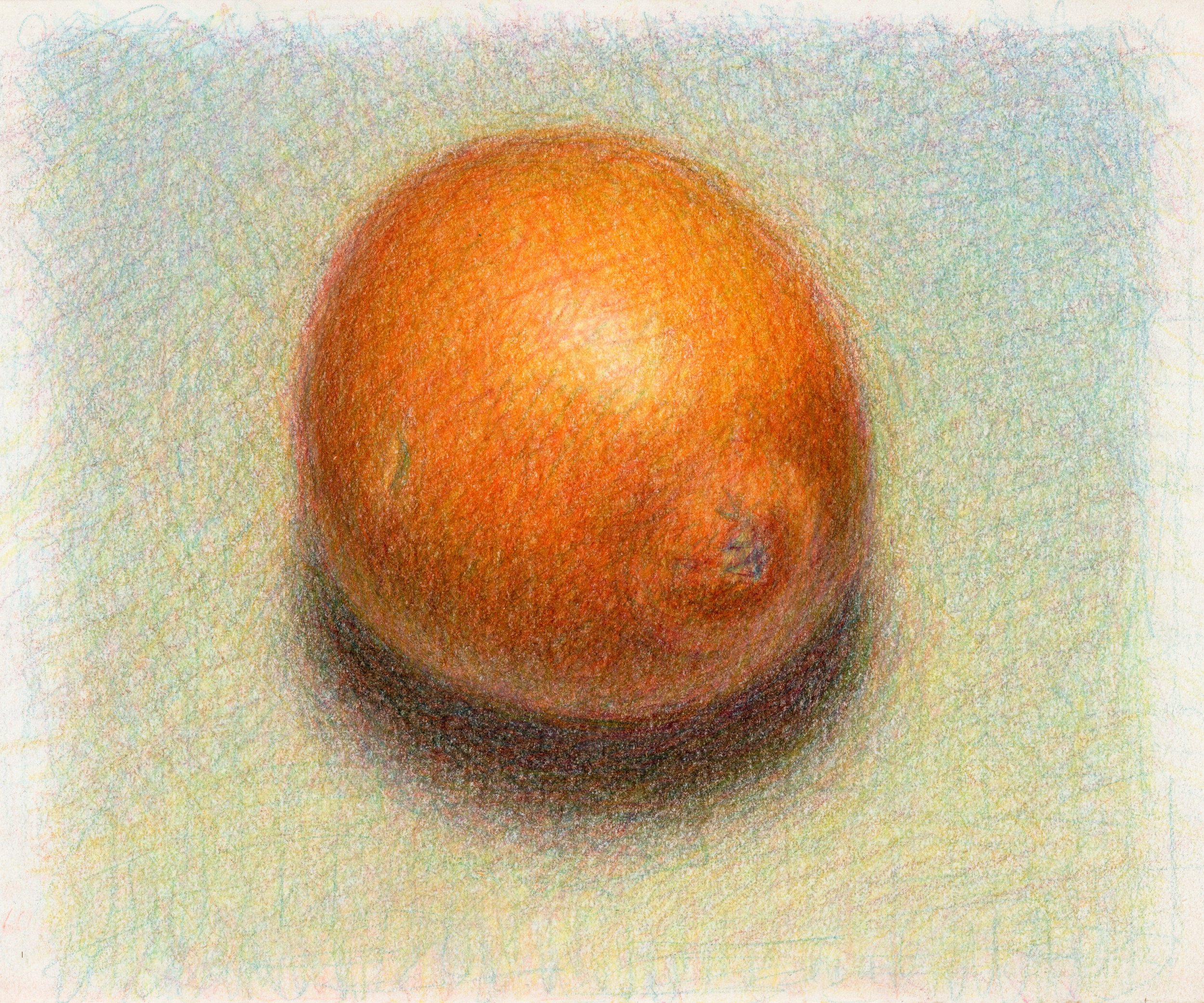    Minneola Tangelo, 2021  Colored pencil on paper  5.5in x 6.5in   