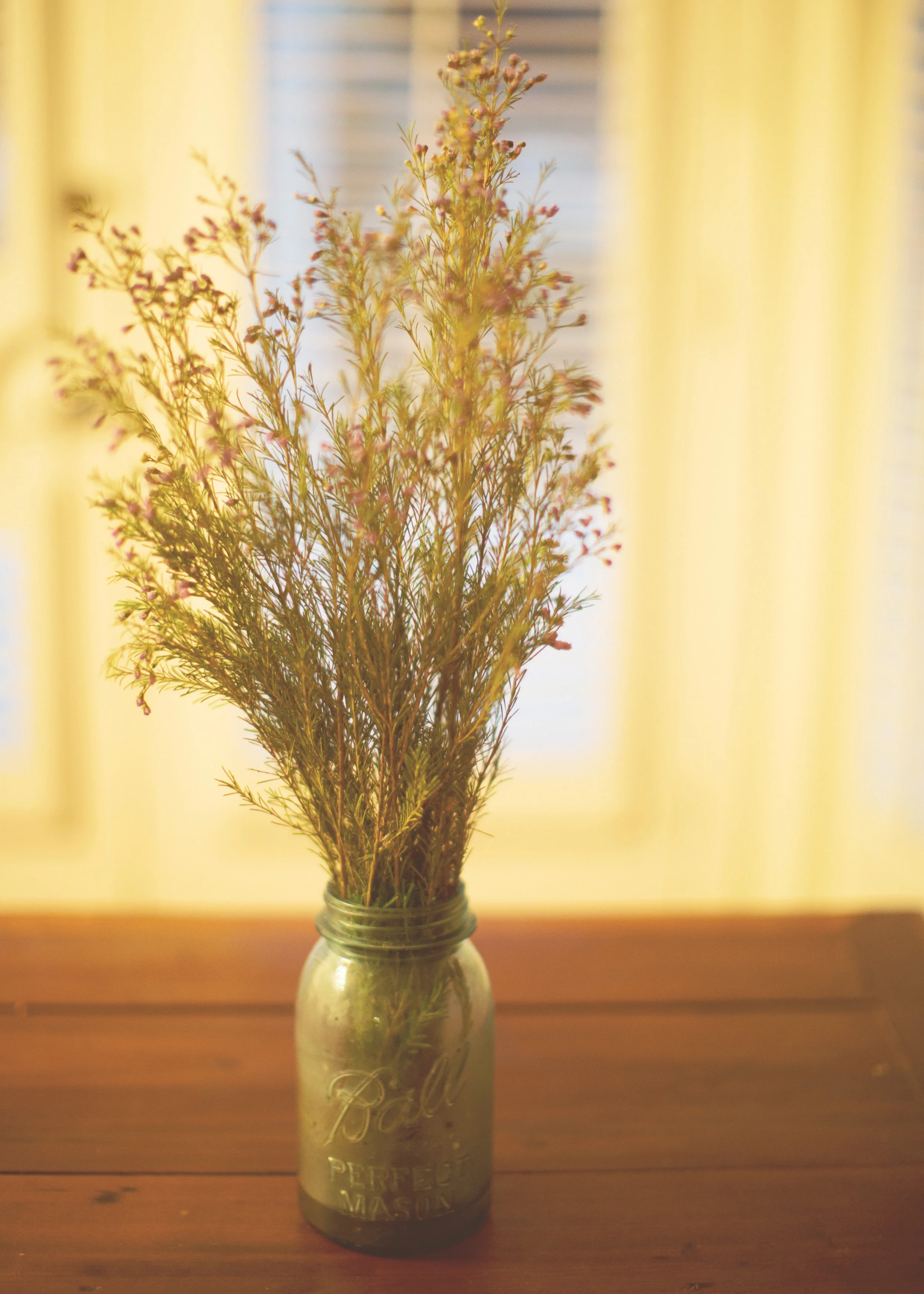 flowers.jpg
