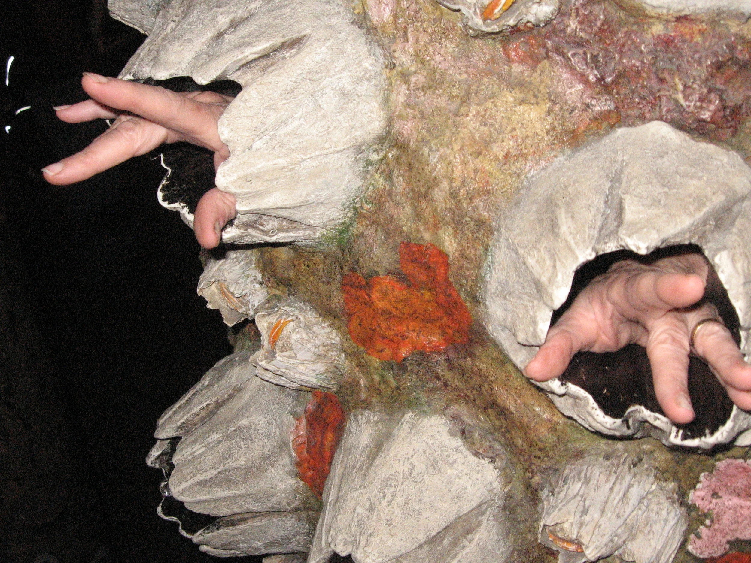 2008-04-22 21.37.15.jpg