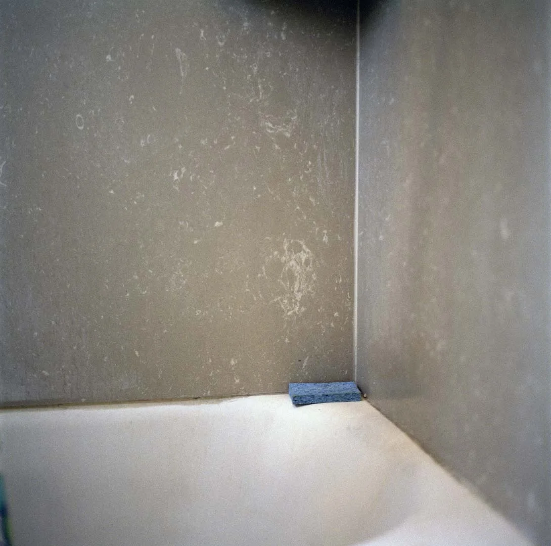 72 sponge in the bathroom.jpg