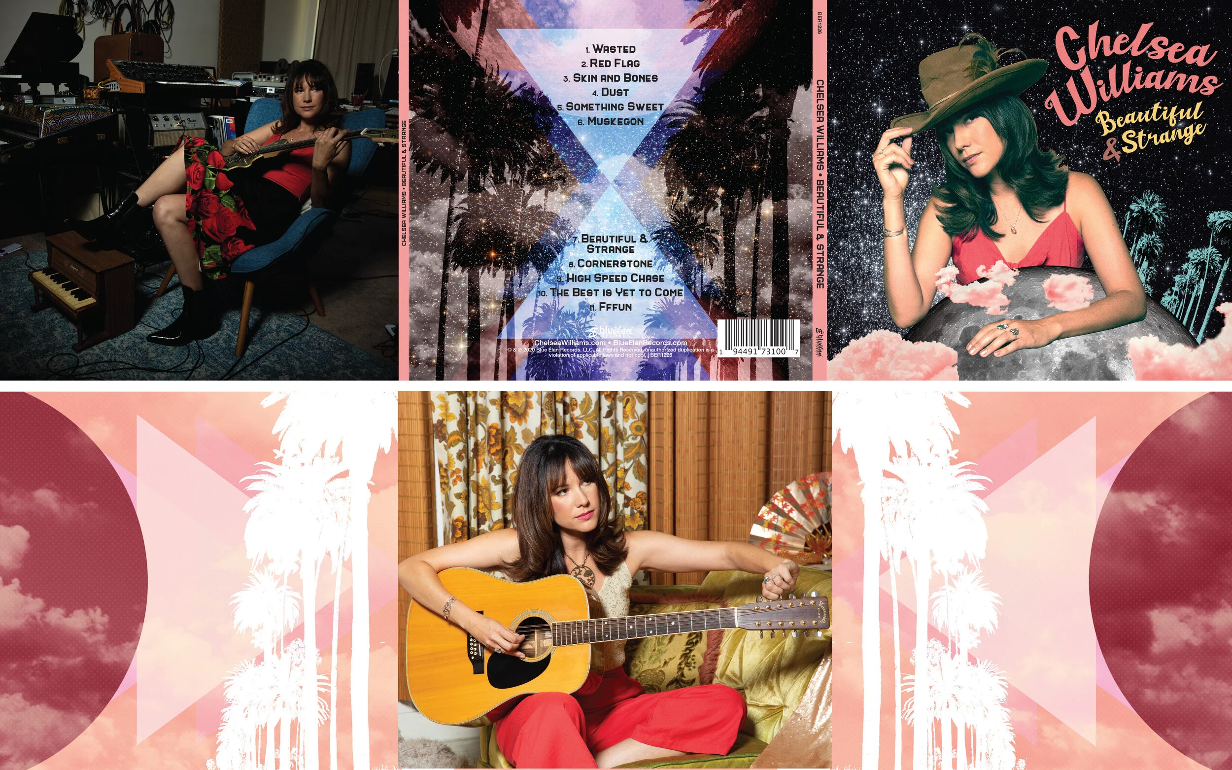 ChelseaWilliams-BeautifulStrange-6Panel.jpg