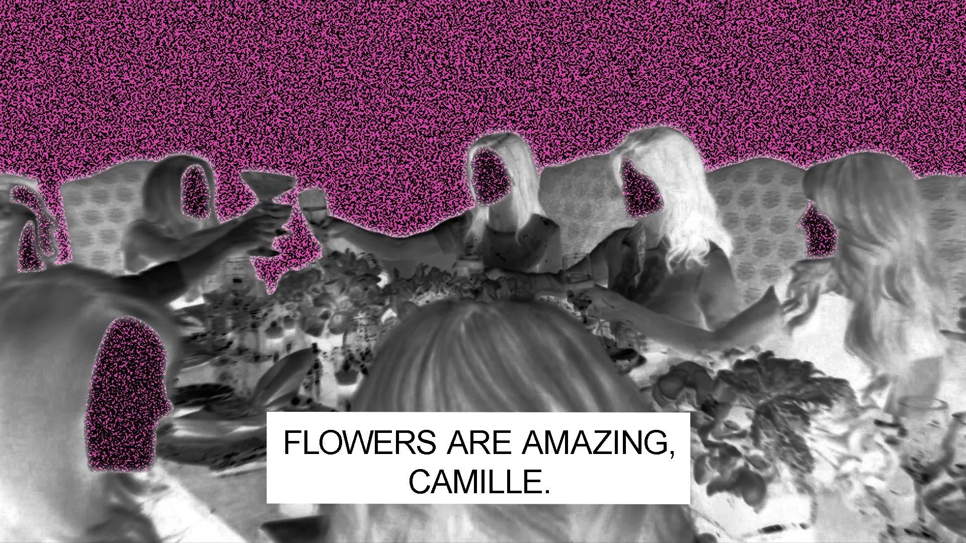 Kate Durbin, Flowers Are Amazing, Camille, 2014